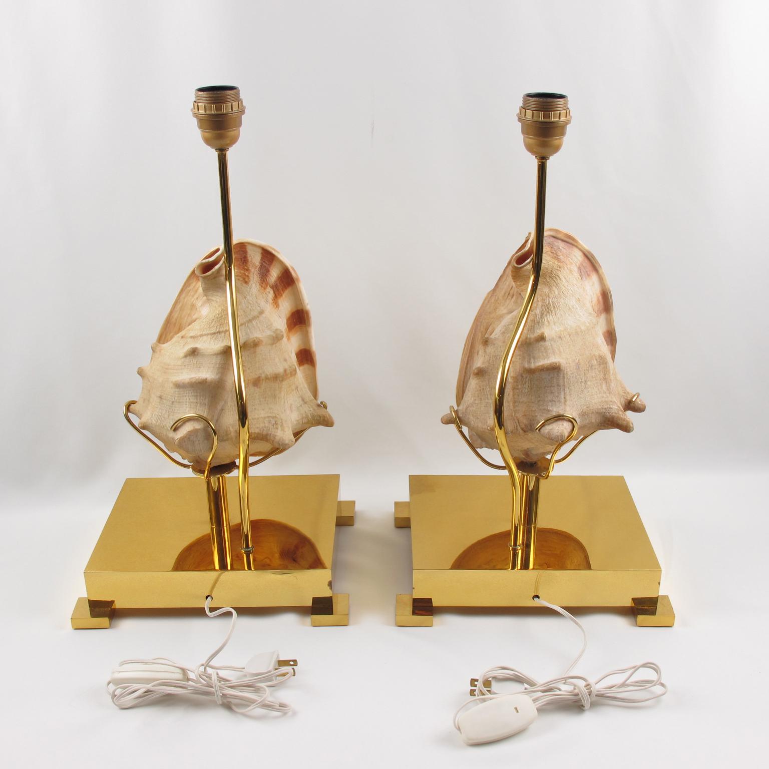 Belga Rare lampade da tavolo Willy Daro in ottone e conchiglie, circa 1970 in vendita
