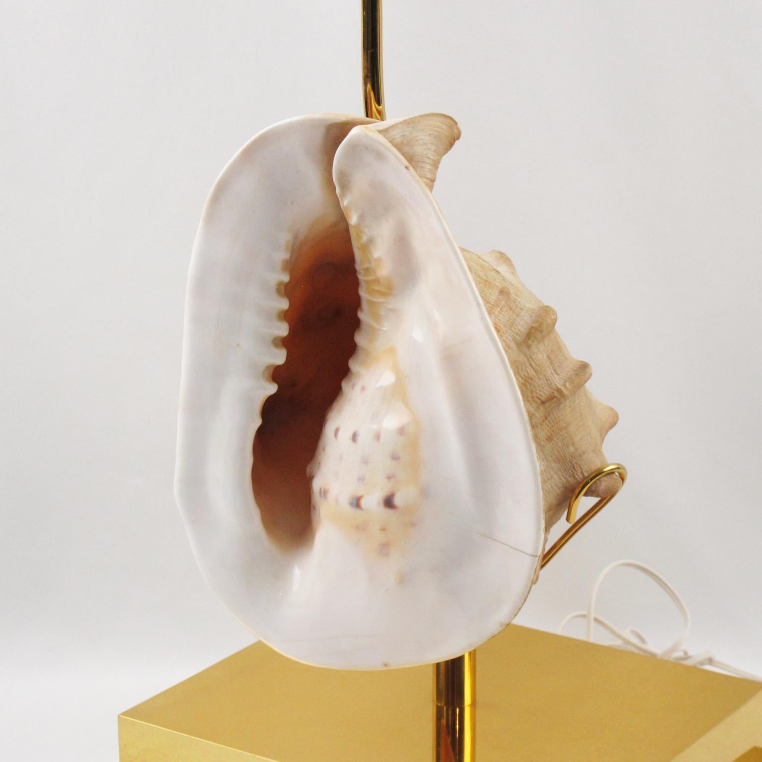 Rare lampade da tavolo Willy Daro in ottone e conchiglie, circa 1970 in vendita 1