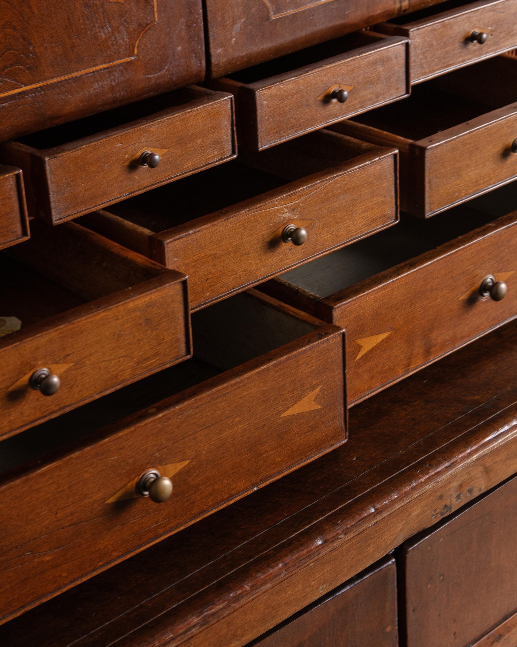 Bois Rare cabinet de médecin à coupole en bois marqueté, Circa 1840 en vente