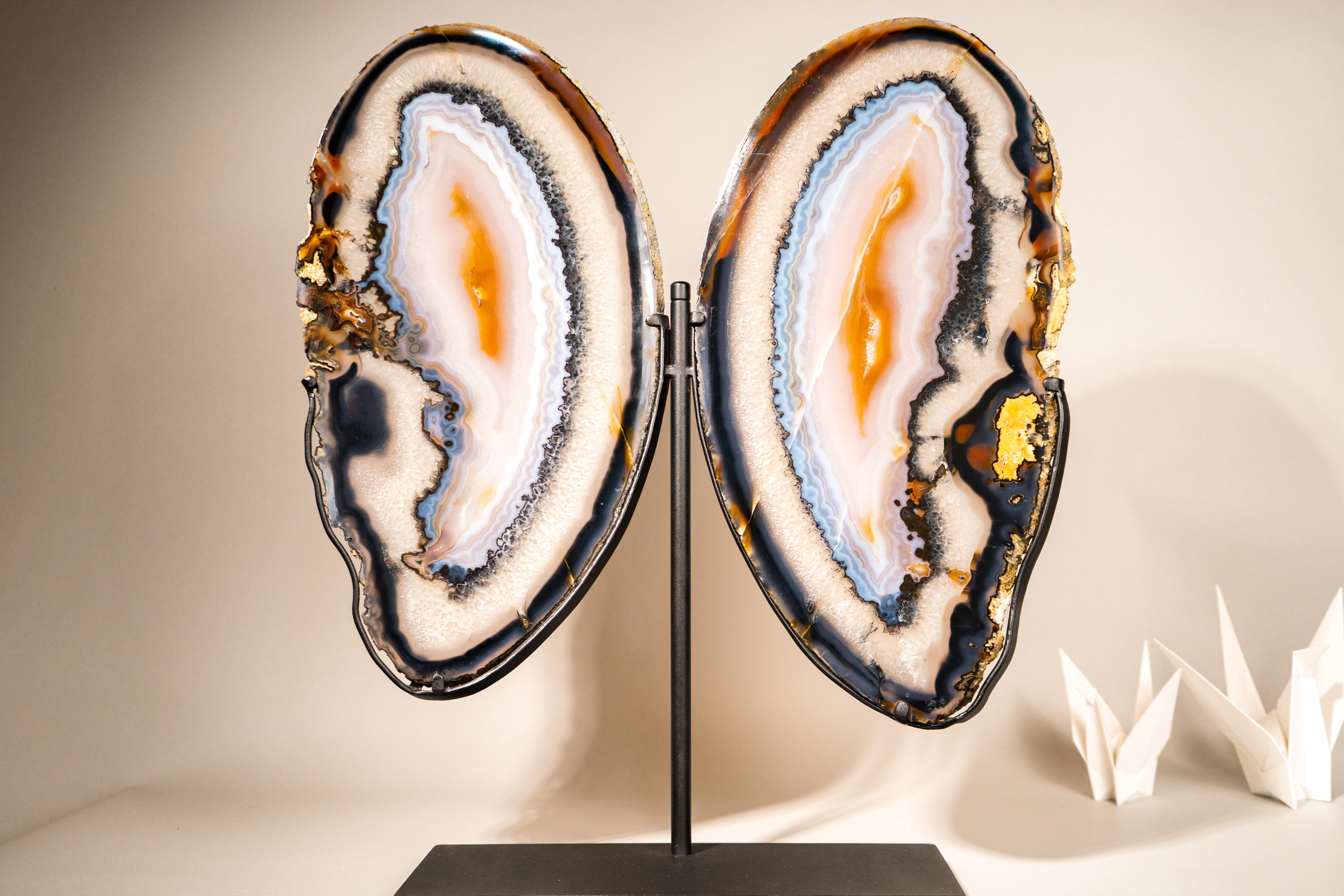Rare XL Lace Agate Butterfly Wings For Sale 4