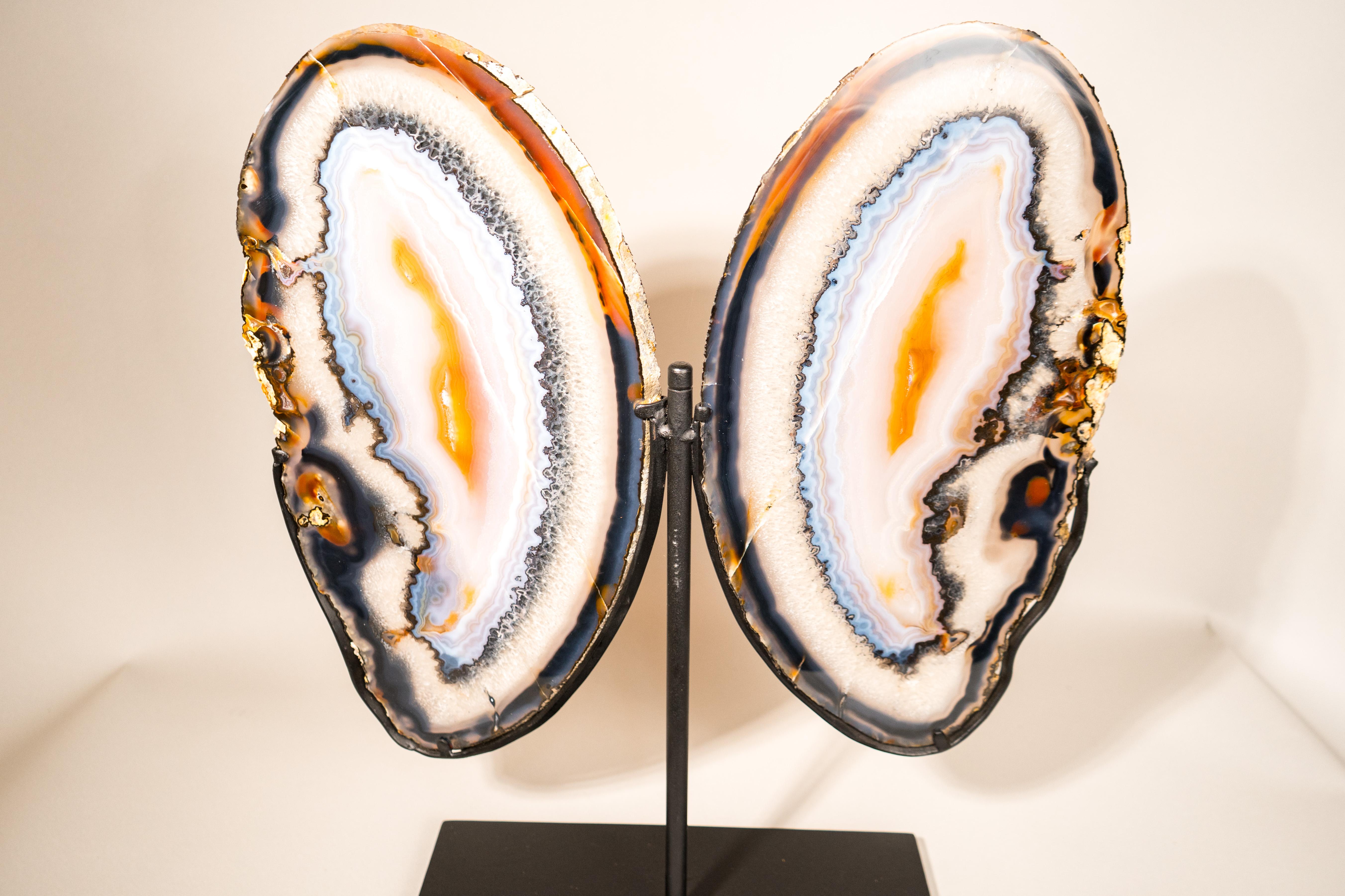 Rare, Exquisite Butterfly-Shaped Agate with Stunning Colorful Lace Details

▫️ Description

Delicate, rare, and gorgeous, these agate butterfly wings are a natural work of art. Their vibrant colors and sharply defined banding patterns make this