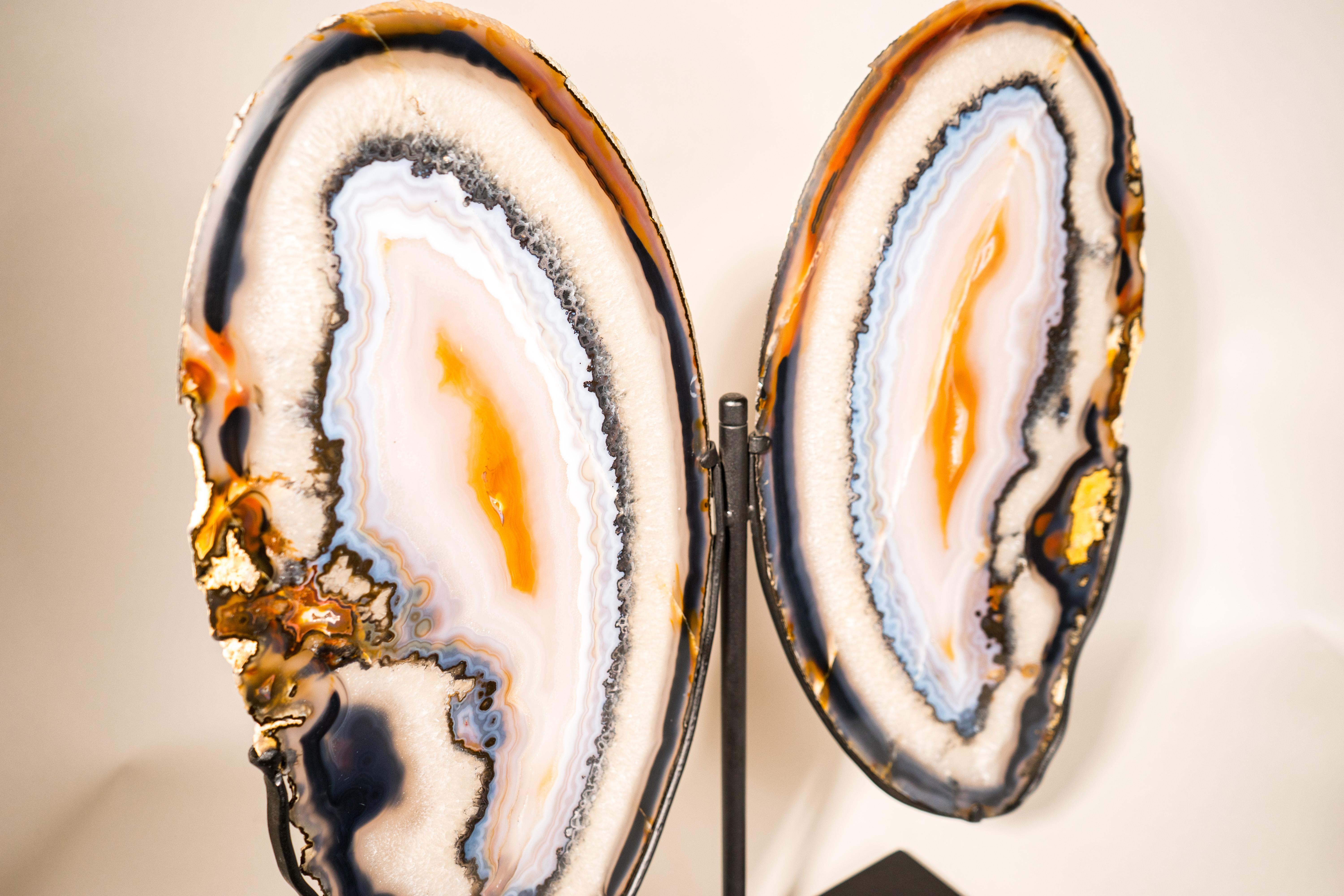 Brazilian Rare XL Lace Agate Butterfly Wings For Sale