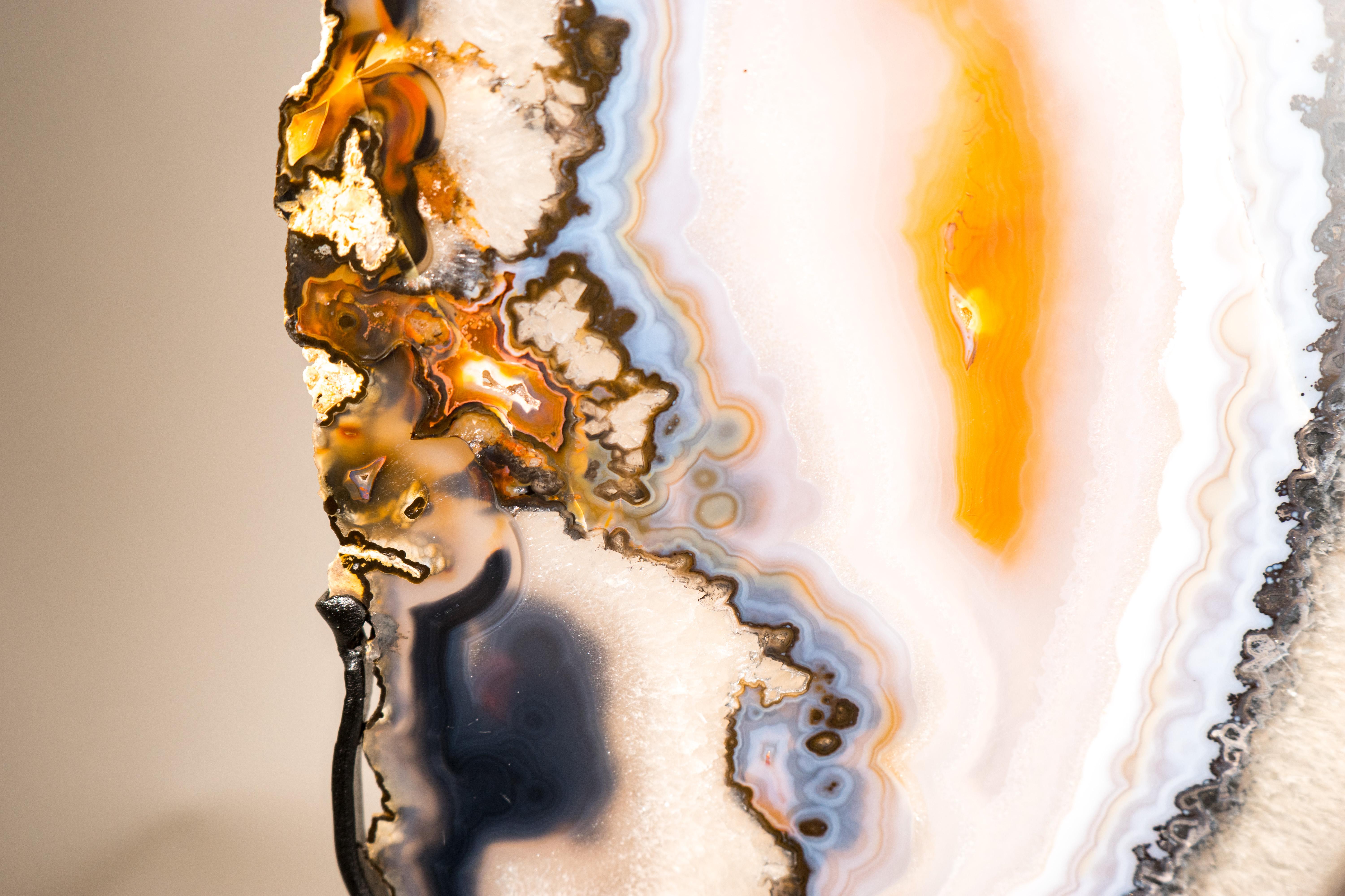 Contemporary Rare XL Lace Agate Butterfly Wings For Sale