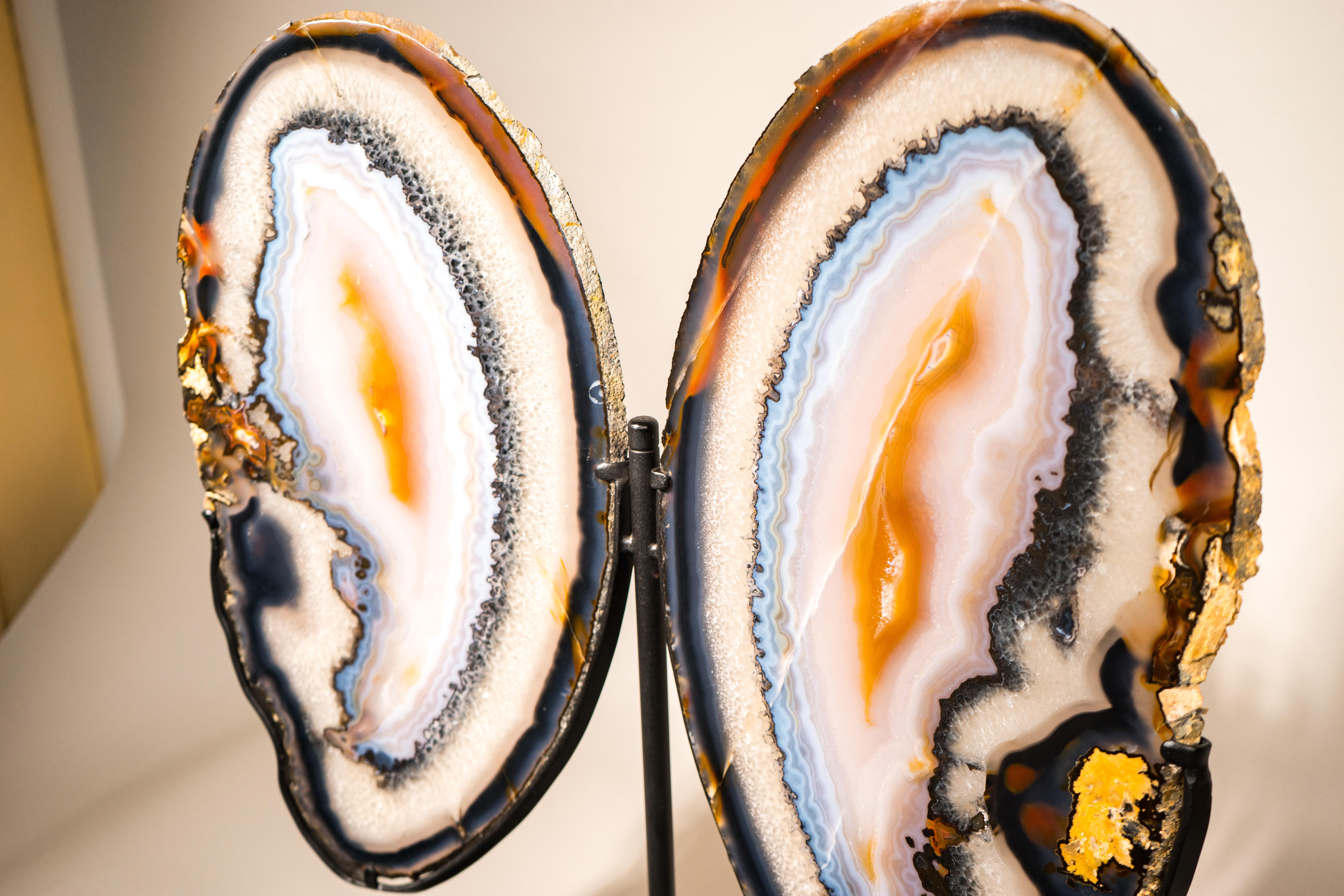 Crystal Rare XL Lace Agate Butterfly Wings For Sale