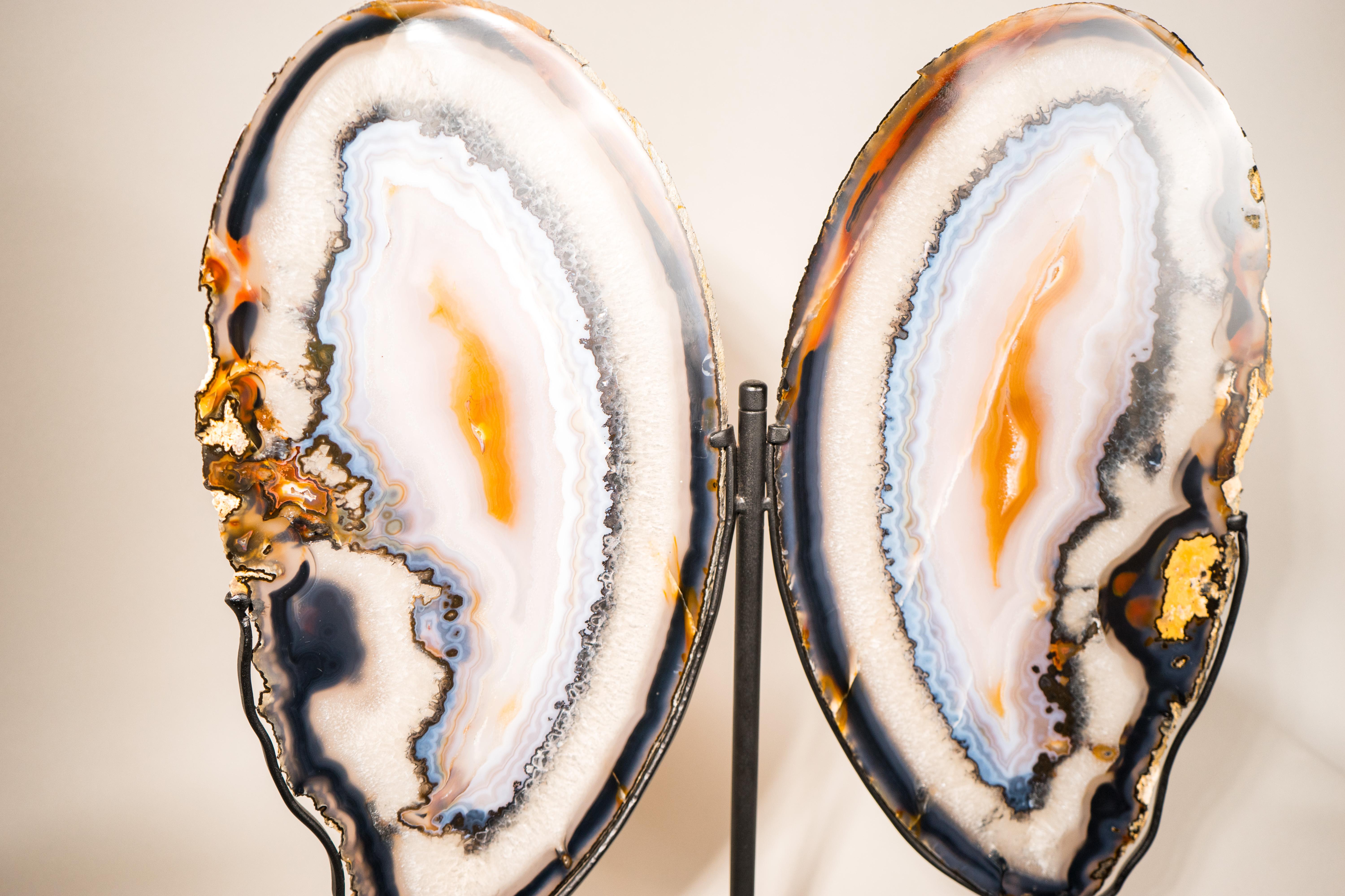 Rare XL Lace Agate Butterfly Wings For Sale 1