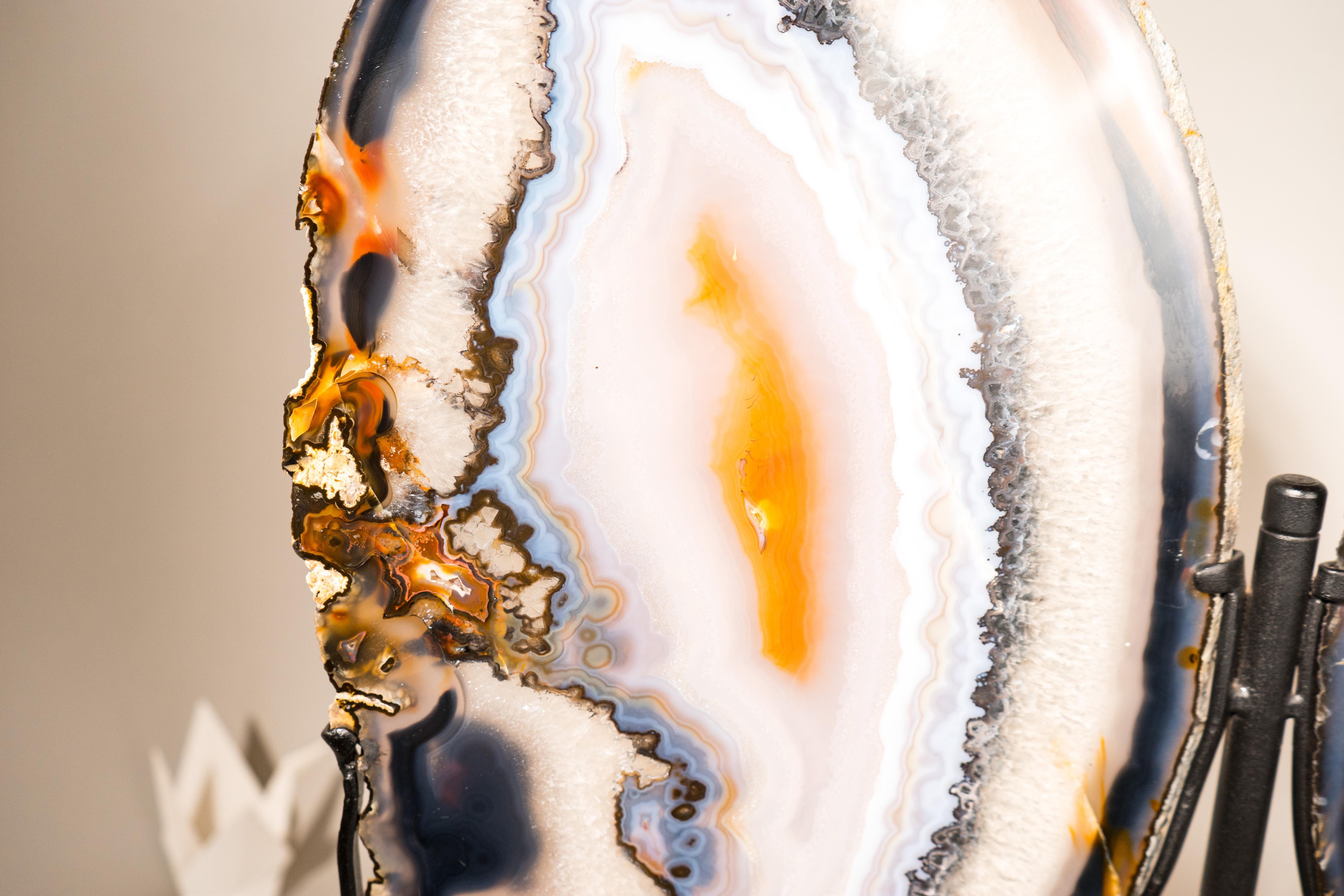 Rare XL Lace Agate Butterfly Wings For Sale 2
