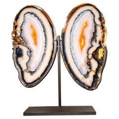 Rare XL Lace Agate Butterfly Wings