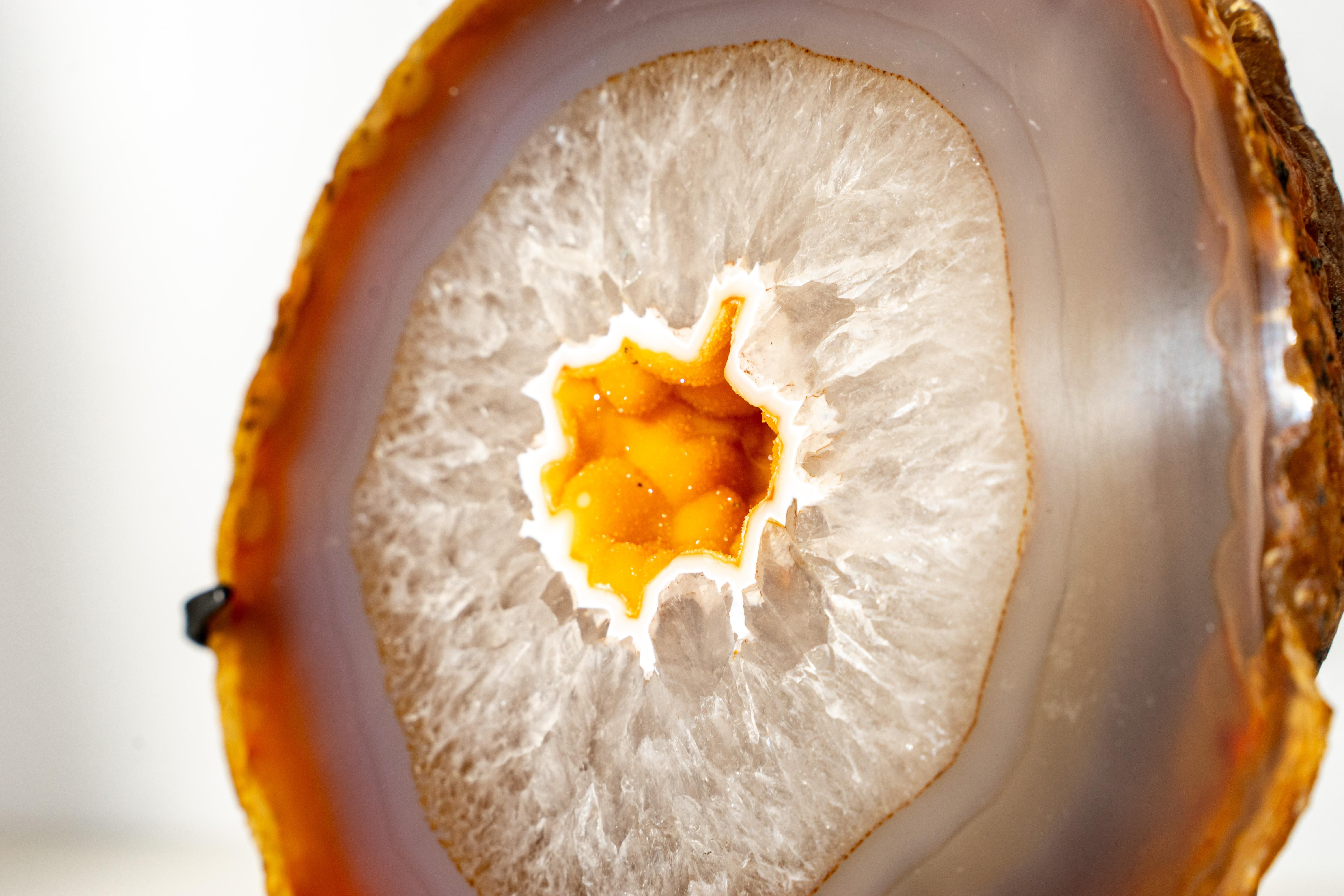 Raro geode di agata gialla con druzy galassia d'oro in vendita 4