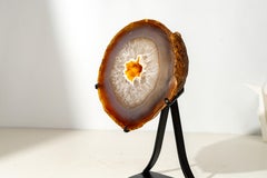 Rare Yellow Lace Agate Geode with Golden Galaxy Druzy