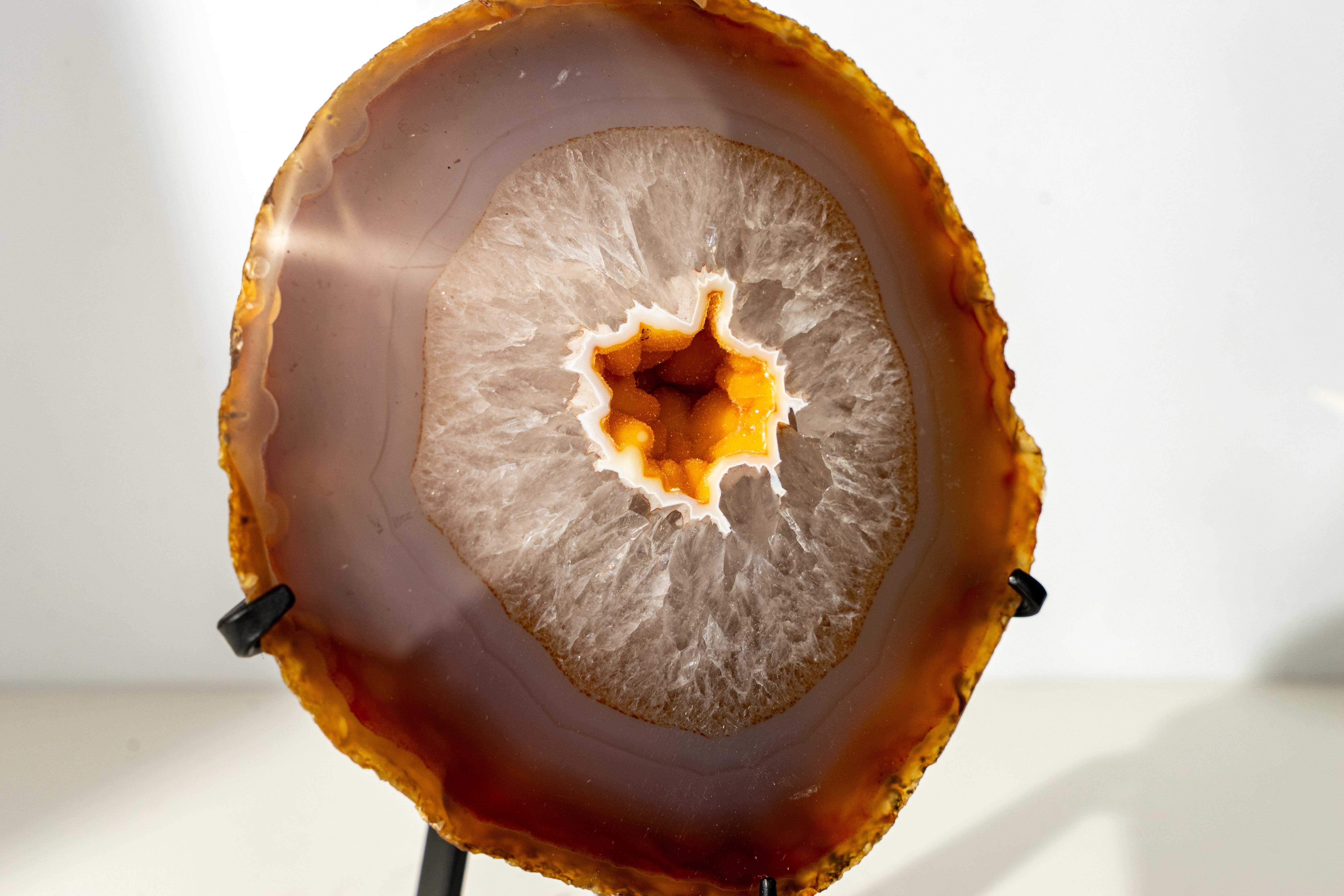 Raro geode di agata gialla con druzy galassia d'oro In condizioni Nuovo in vendita a Ametista Do Sul, BR