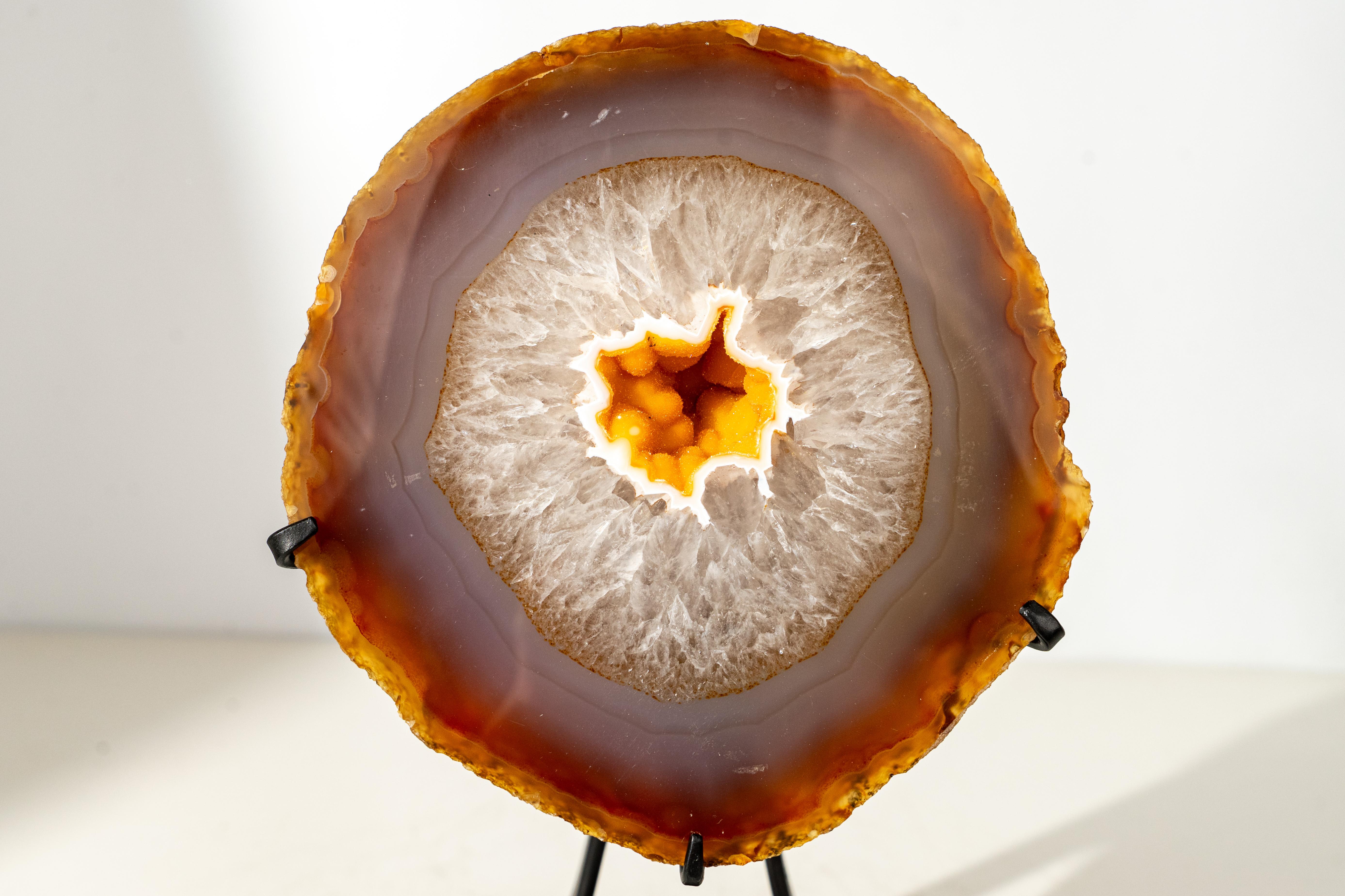 Cristallo Raro geode di agata gialla con druzy galassia d'oro in vendita