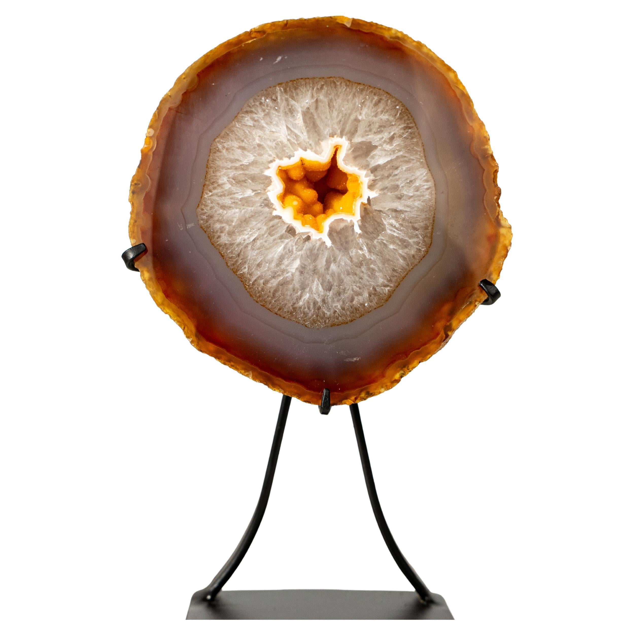 Raro geode di agata gialla con druzy galassia d
oro in vendita