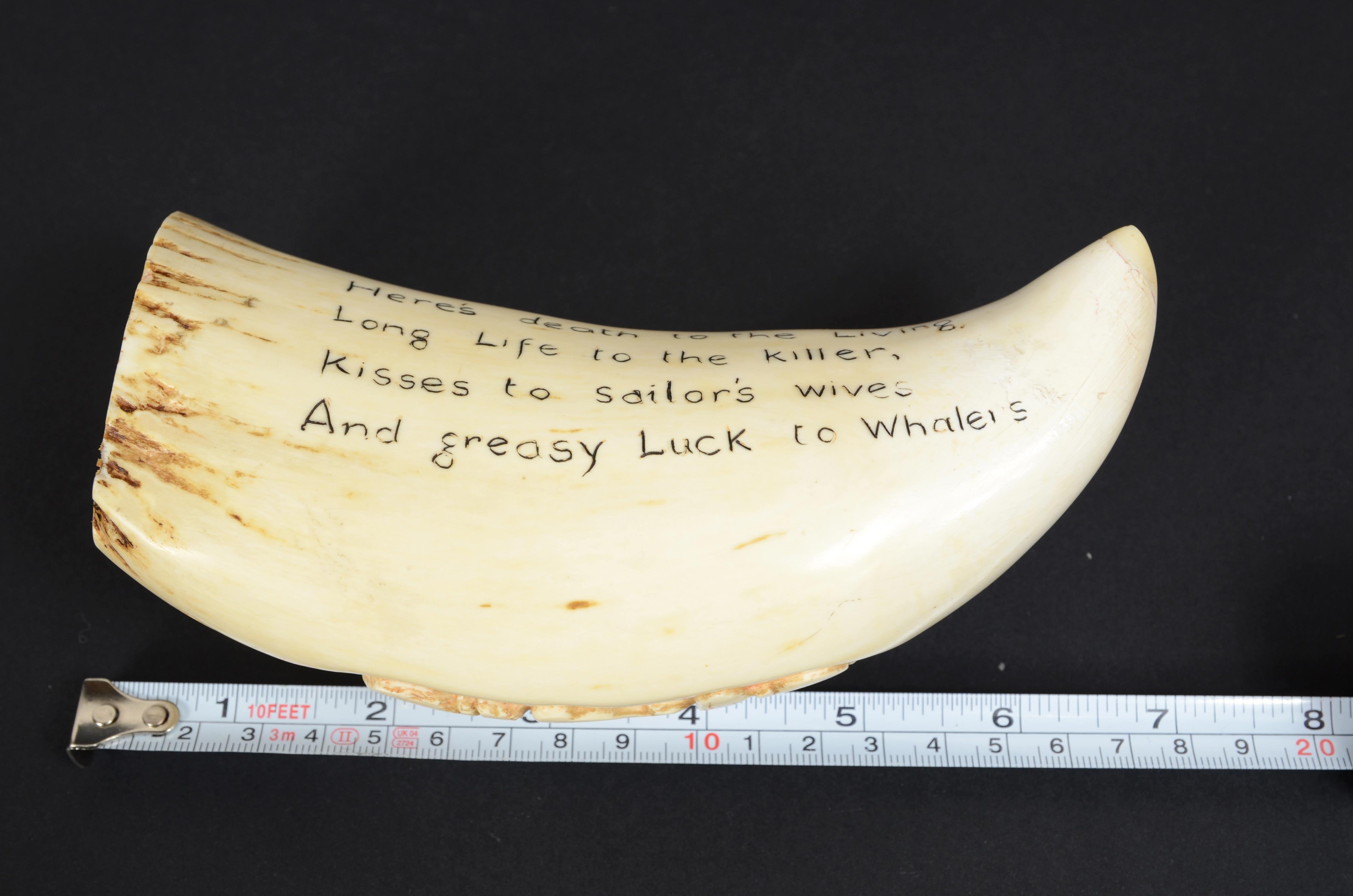 Rare scrimshaw of large whale tooth in vertical bas-relief a sailor For Sale 6