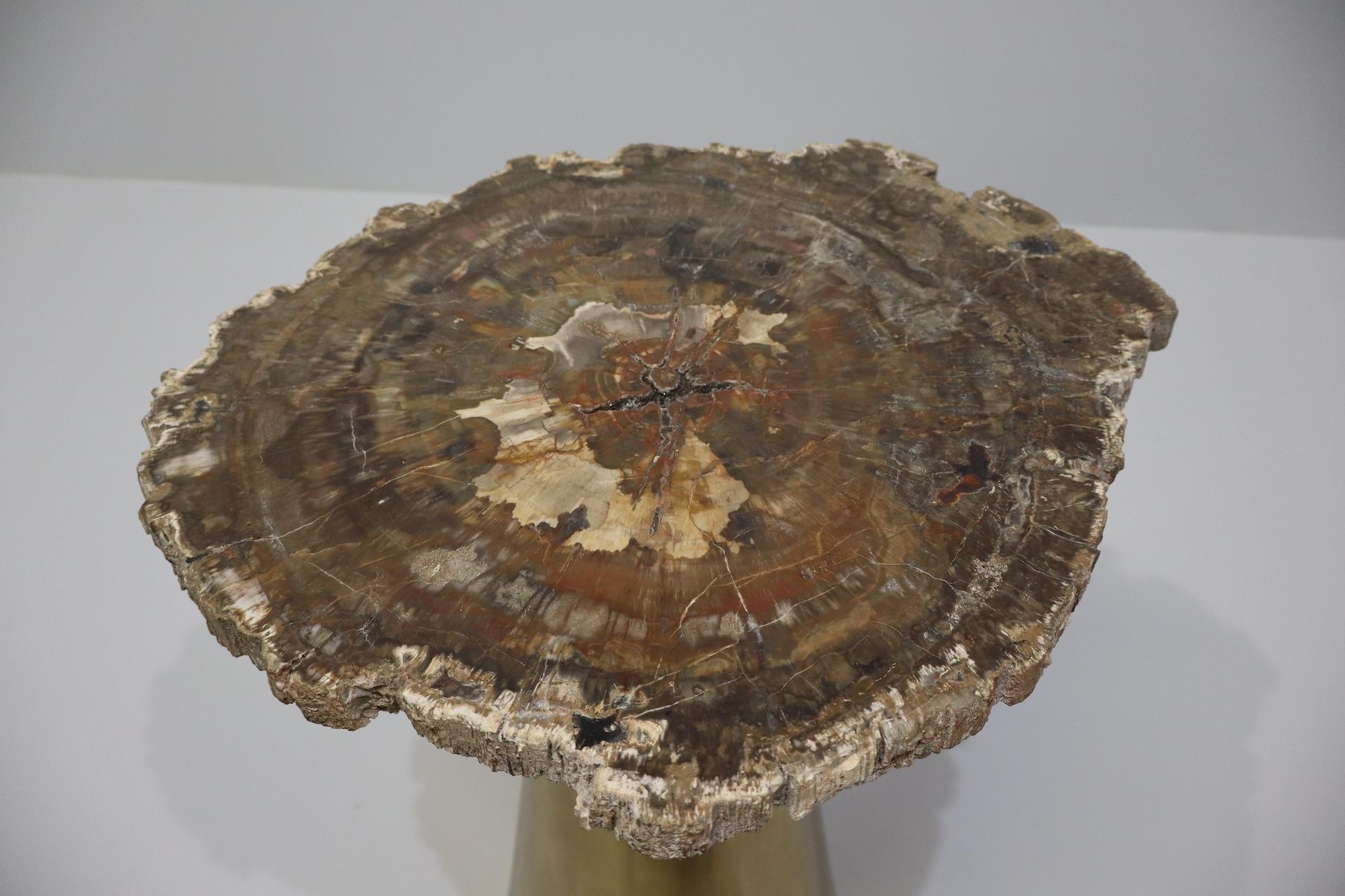 Rare Brass Coffee Table with Petrified Fossil Wood Top Italy 1970s For Sale 7