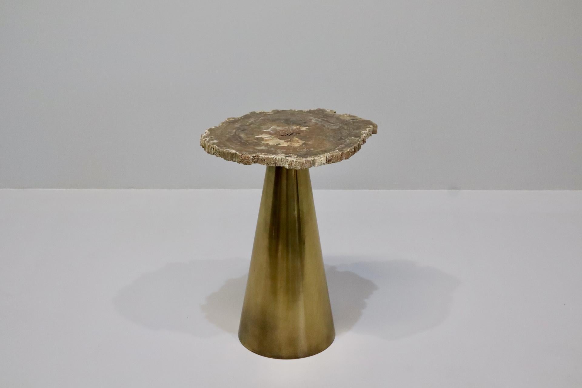 Mid-Century Modern Rare Brass Coffee Table with Petrified Fossil Wood Top Italy 1970s For Sale