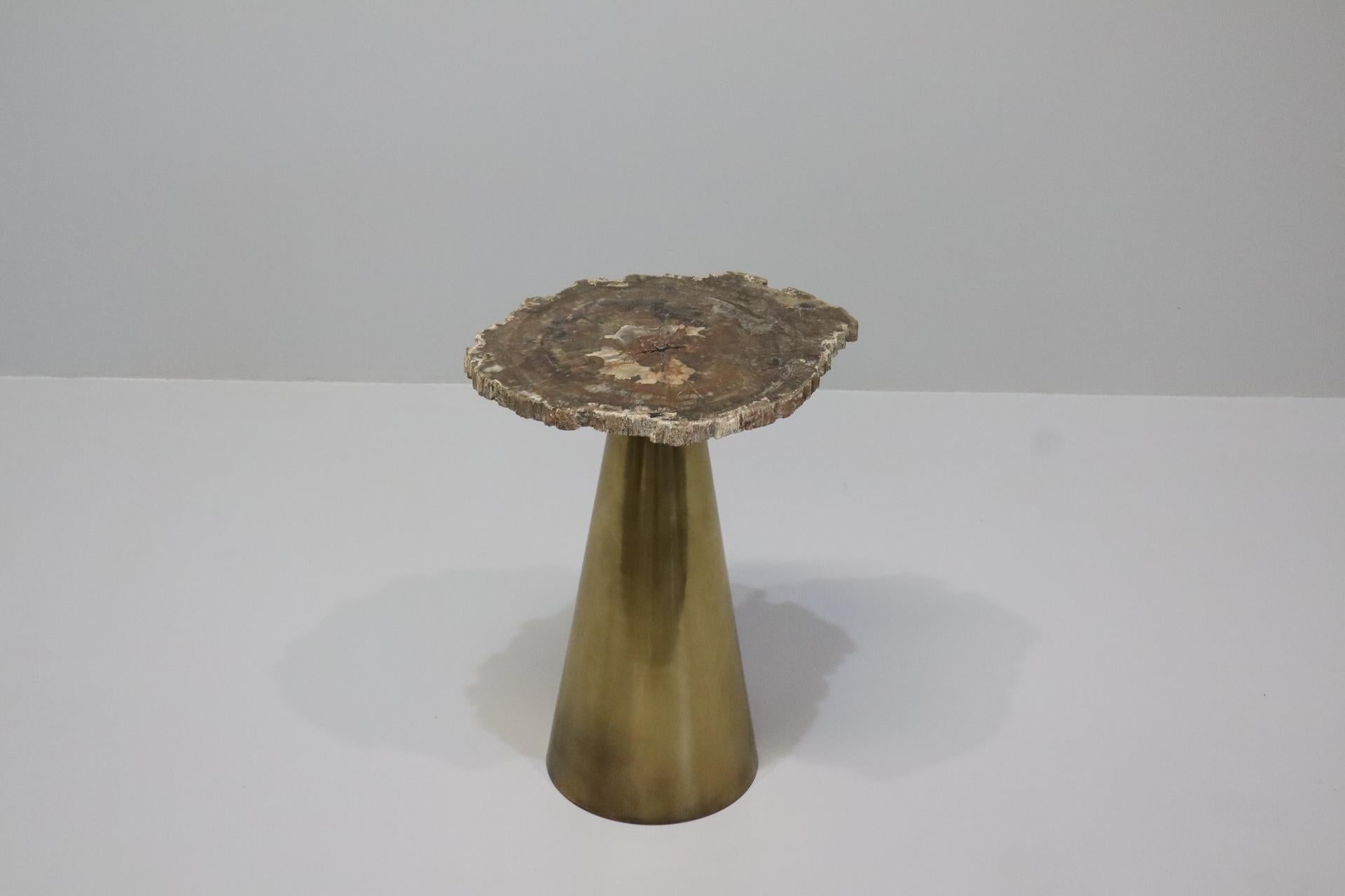 Italian Rare Brass Coffee Table with Petrified Fossil Wood Top Italy 1970s For Sale