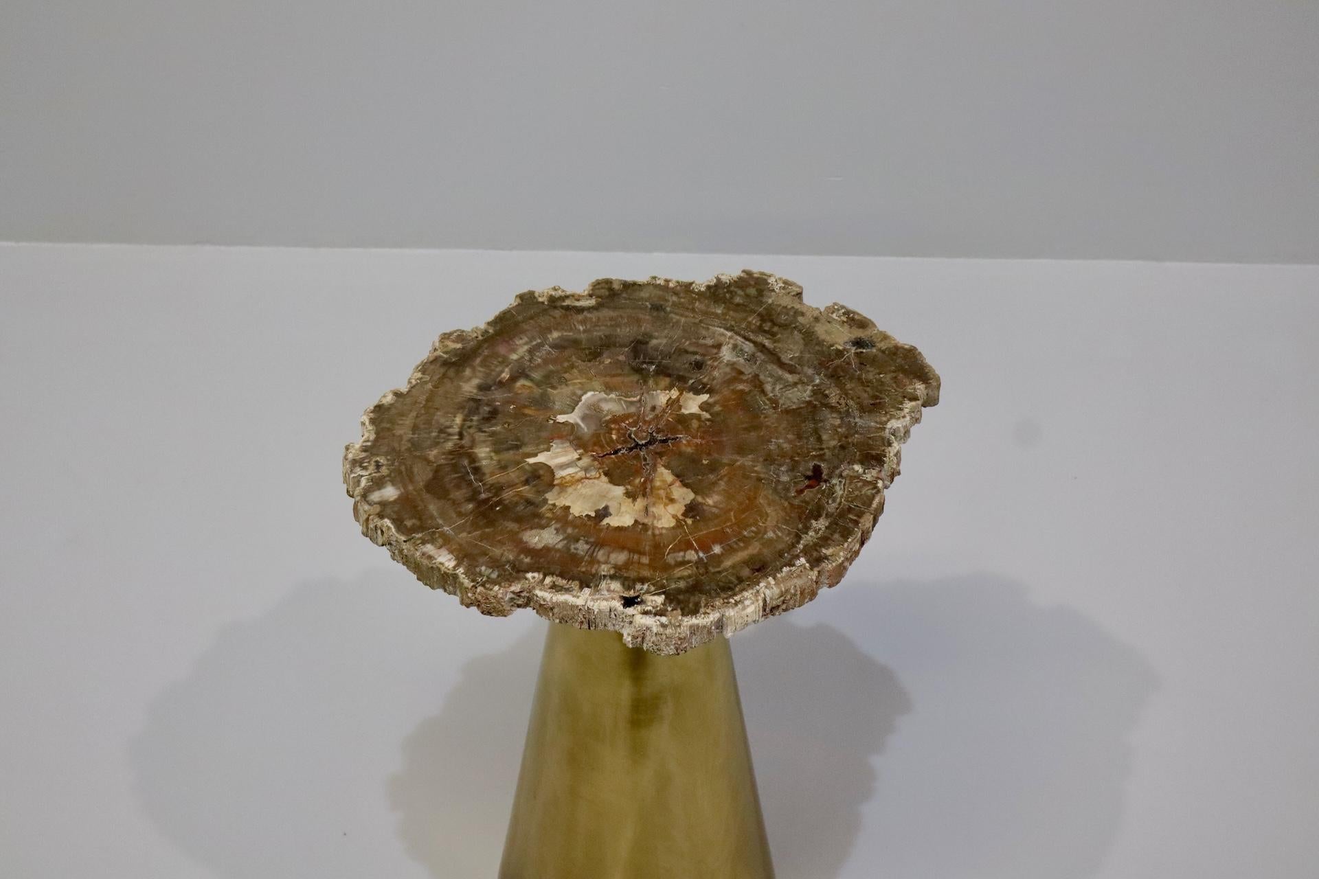 Seltener Couchtisch aus Messing mit versteinerter Fossilienholzplatte Italien 1970er im Zustand „Hervorragend“ im Angebot in Rovereta, SM