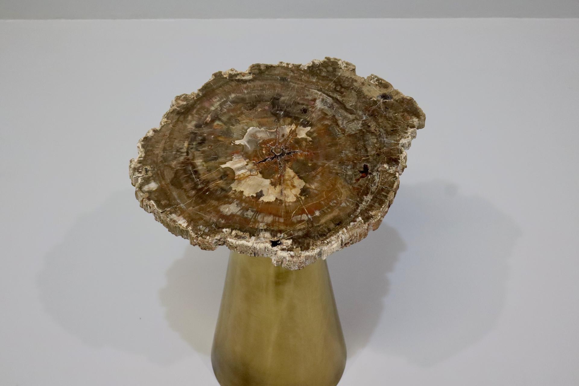 Late 20th Century Rare Brass Coffee Table with Petrified Fossil Wood Top Italy 1970s For Sale