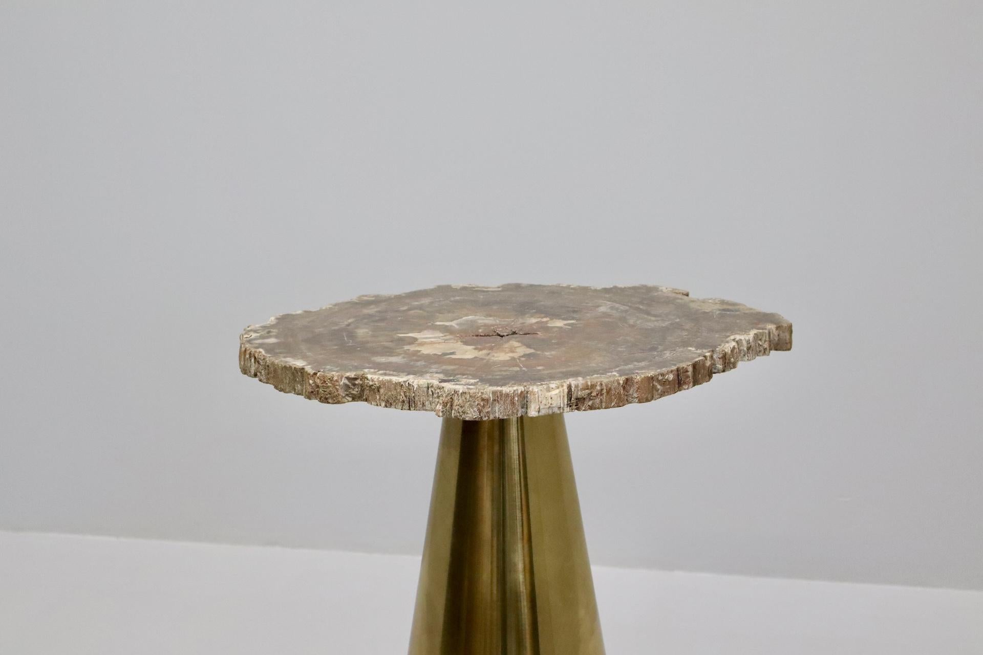 Rare Brass Coffee Table with Petrified Fossil Wood Top Italy 1970s For Sale 1
