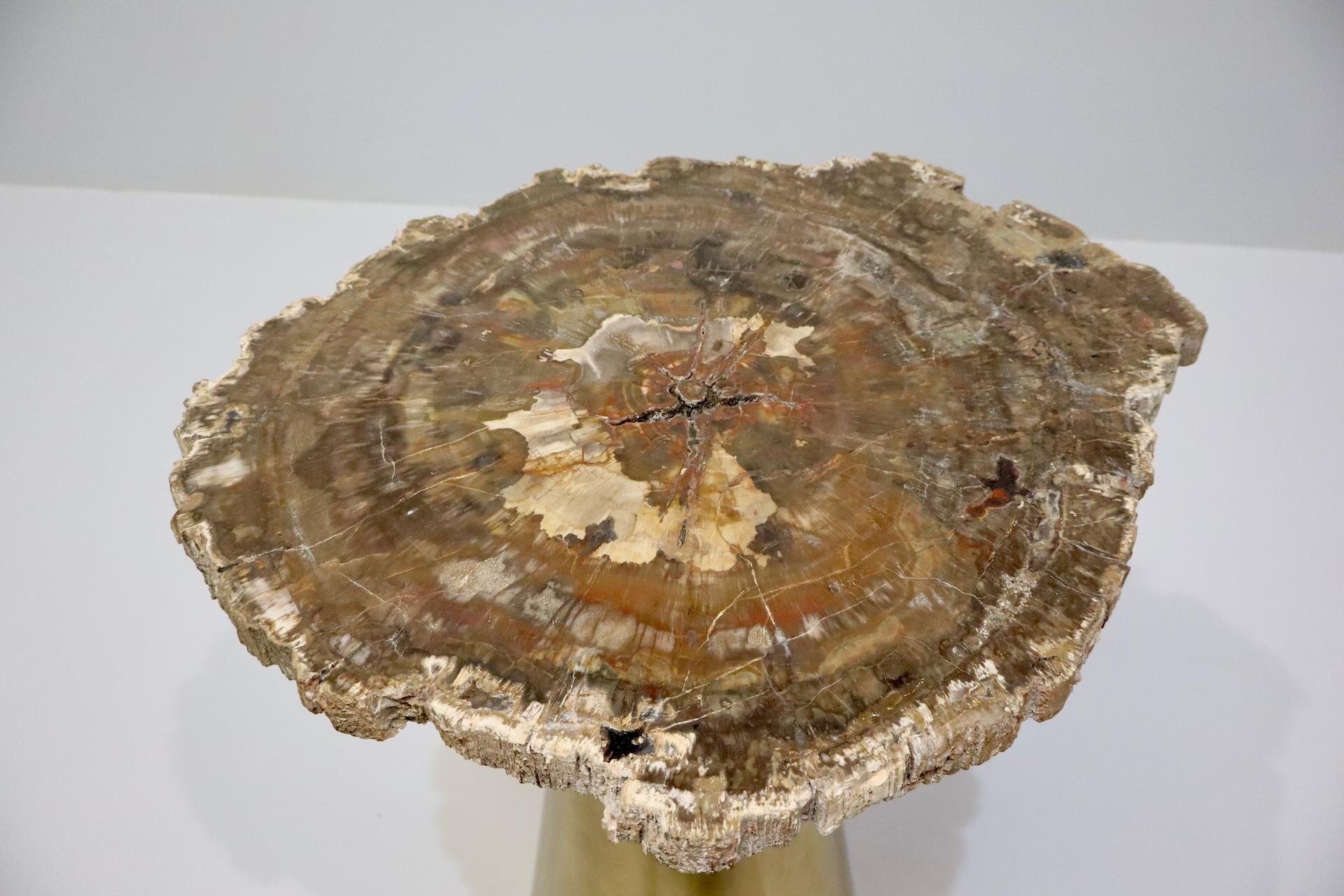 Rare Brass Coffee Table with Petrified Fossil Wood Top Italy 1970s For Sale 3