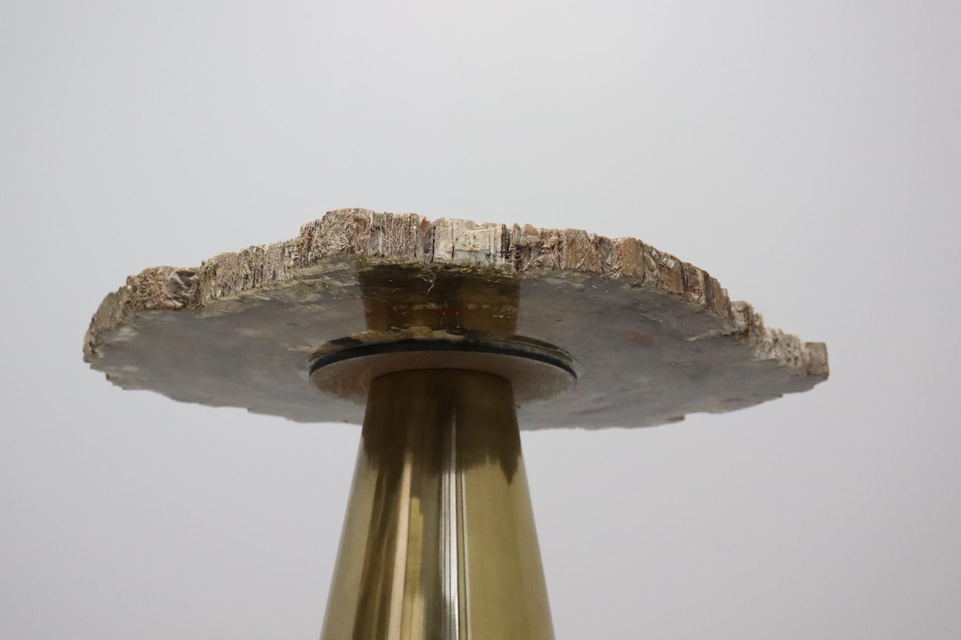 Rare Brass Coffee Table with Petrified Fossil Wood Top Italy 1970s For Sale 4