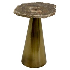 Rare table basse en laiton avec plateau en bois fossile pétrifié Italie 1970