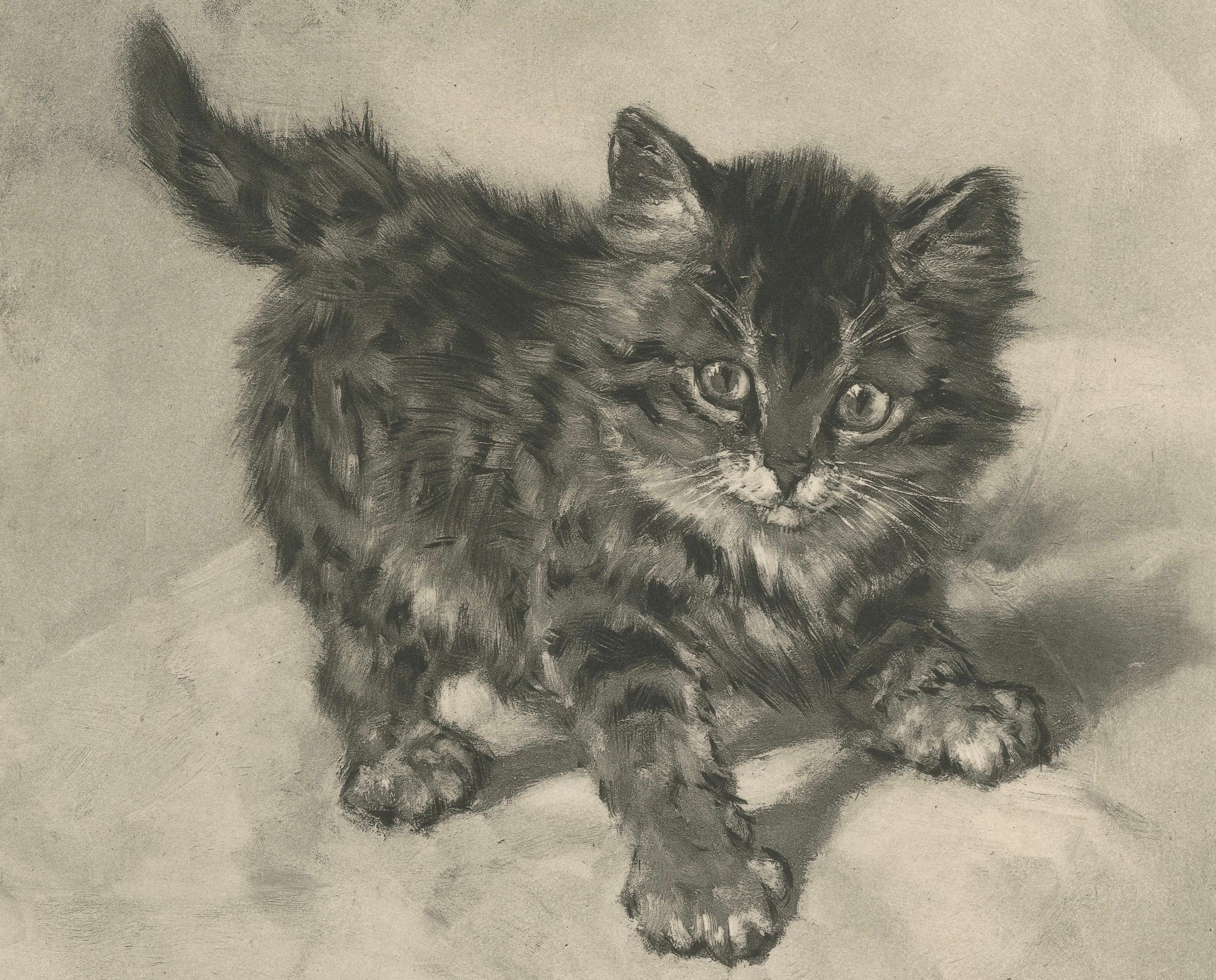 Rascal - Un juguetón gato antiguo grabado por Henriette Ronner, 1894 Fines del siglo XIX en venta