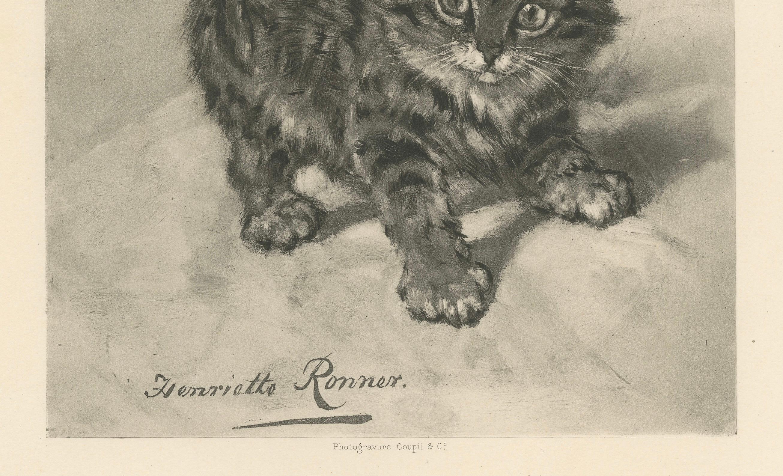 Rascal - Un juguetón gato antiguo grabado por Henriette Ronner, 1894 Papel en venta