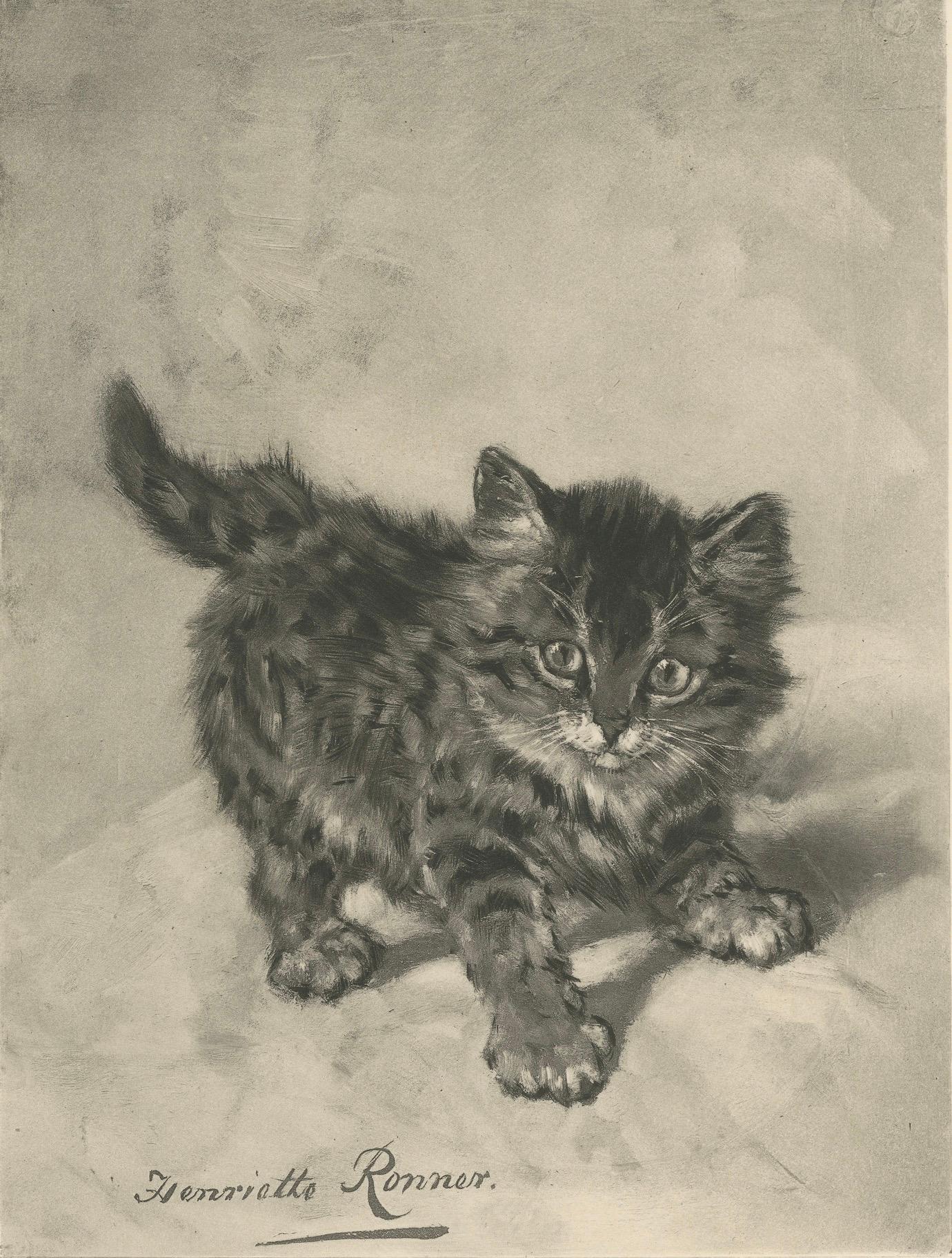 Rascal - Un juguetón gato antiguo grabado por Henriette Ronner, 1894 en venta 1