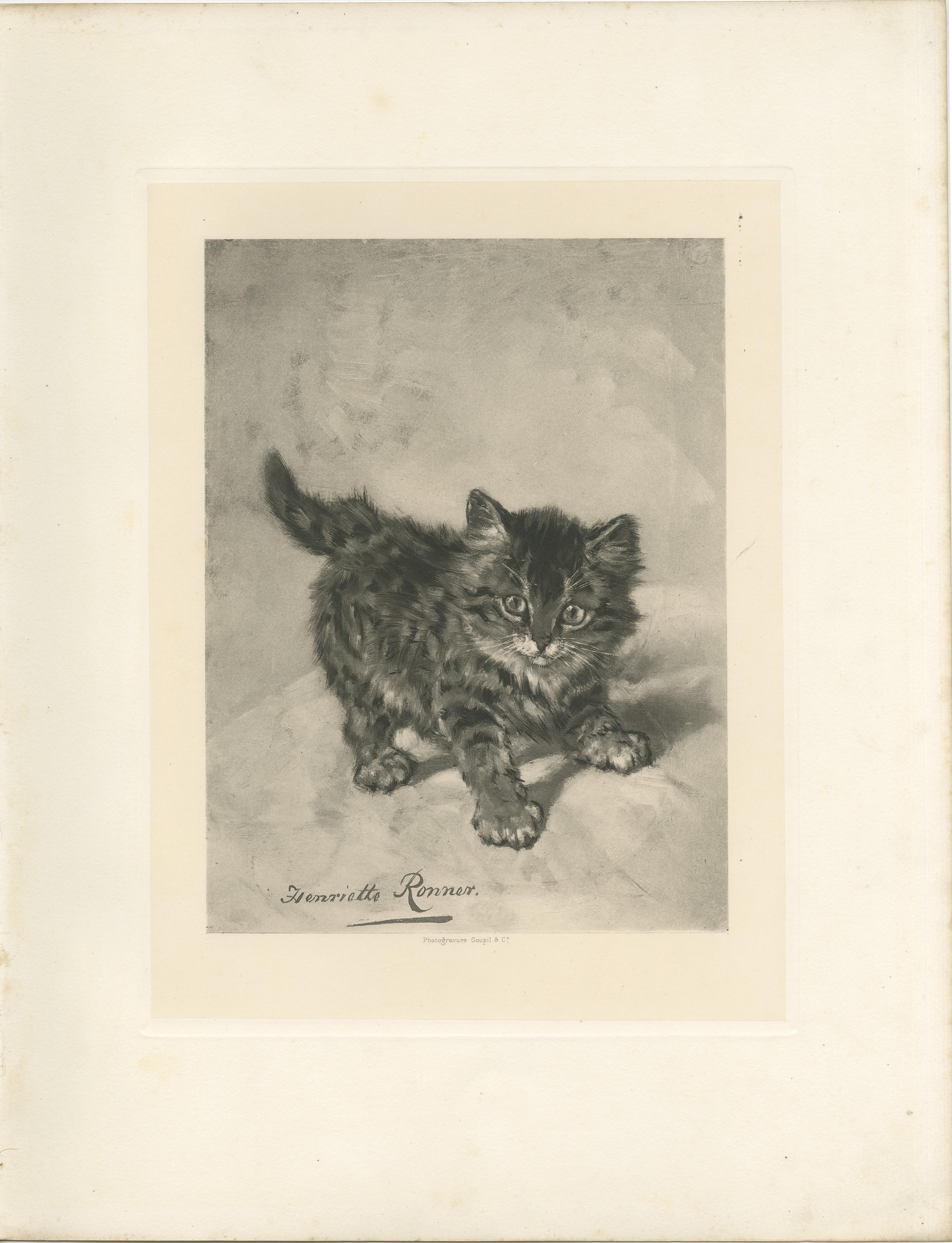 Rascal - Un juguetón gato antiguo grabado por Henriette Ronner, 1894 en venta 2