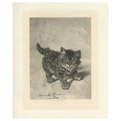 Rascal - A Playful Antique Cat Print by Henriette Ronner, 1894