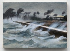 Tropical Storm (with Sea Wall)