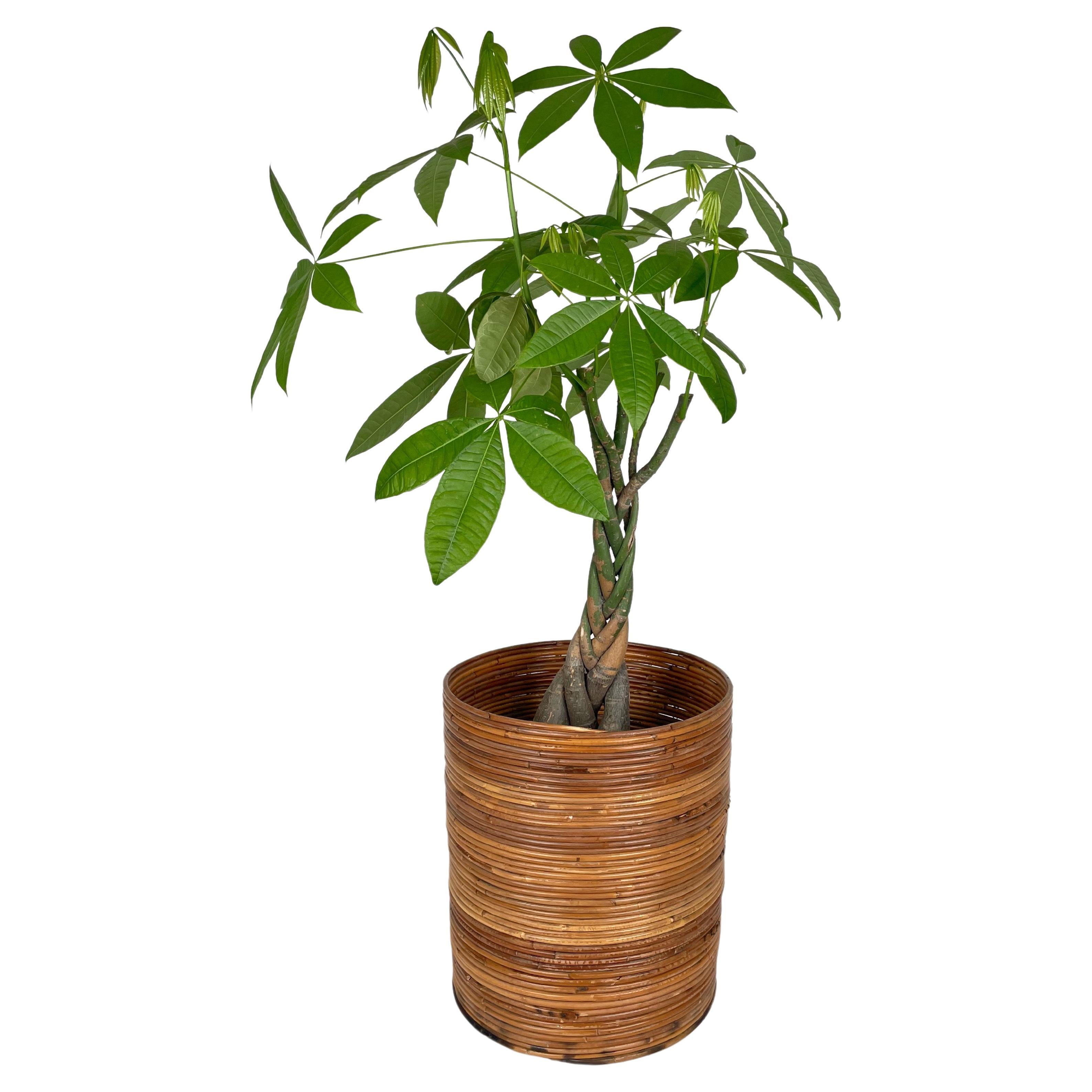 Round basket plant holder vase in bamboo and rattan made in Italy in the 1960s.