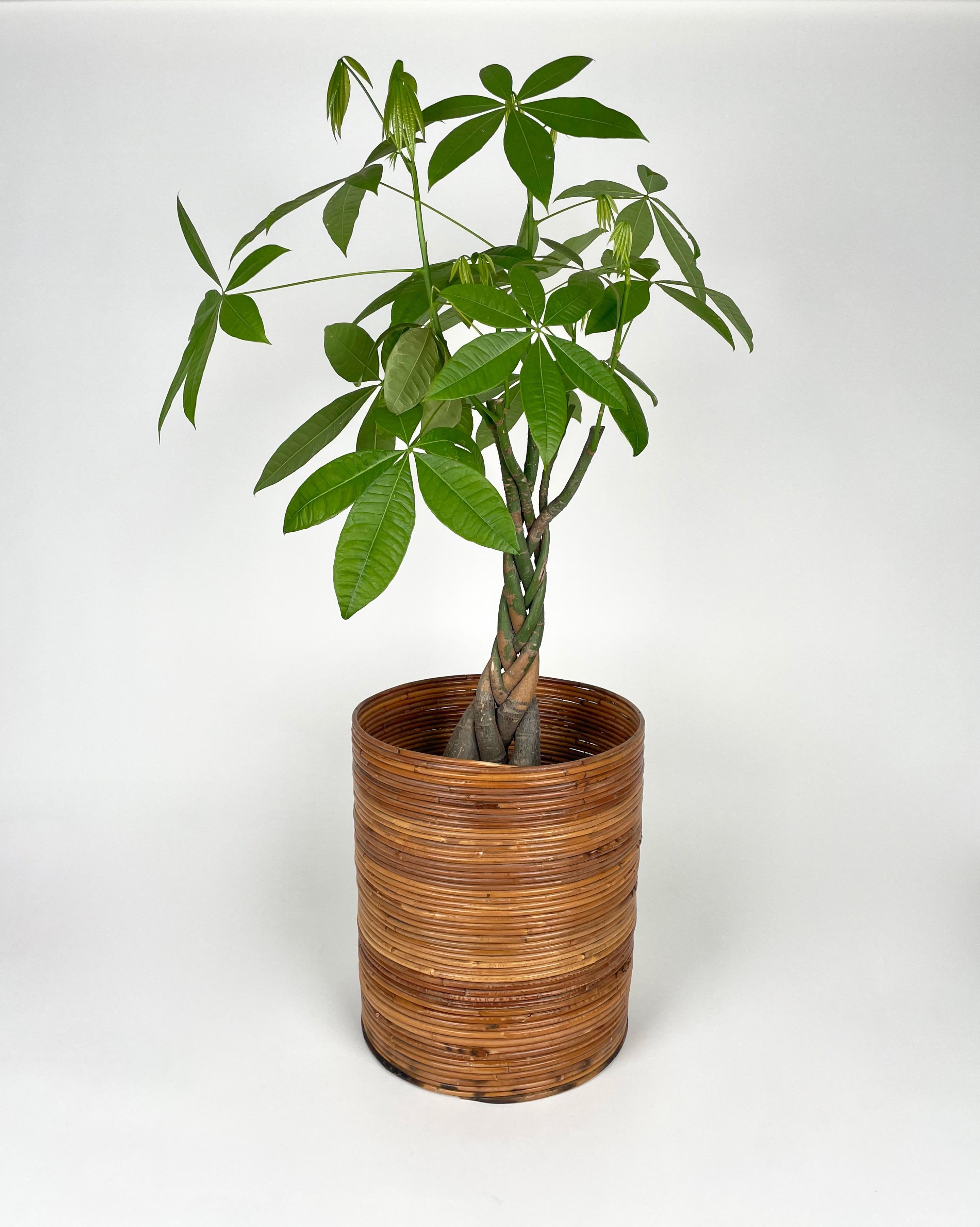 Rattan and Bamboo Round Basket Plant Holder Vase, Italy, 1960s In Good Condition For Sale In Rome, IT