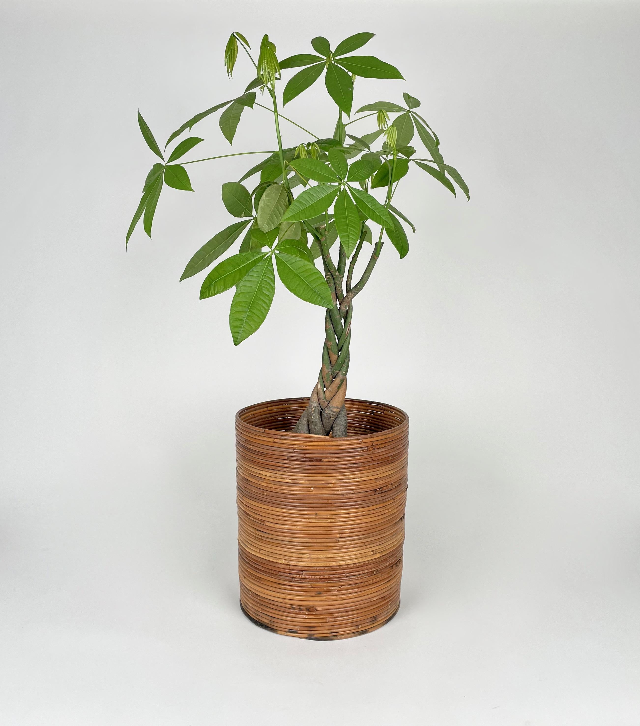 Mid-20th Century Rattan and Bamboo Round Basket Plant Holder Vase, Italy, 1960s For Sale
