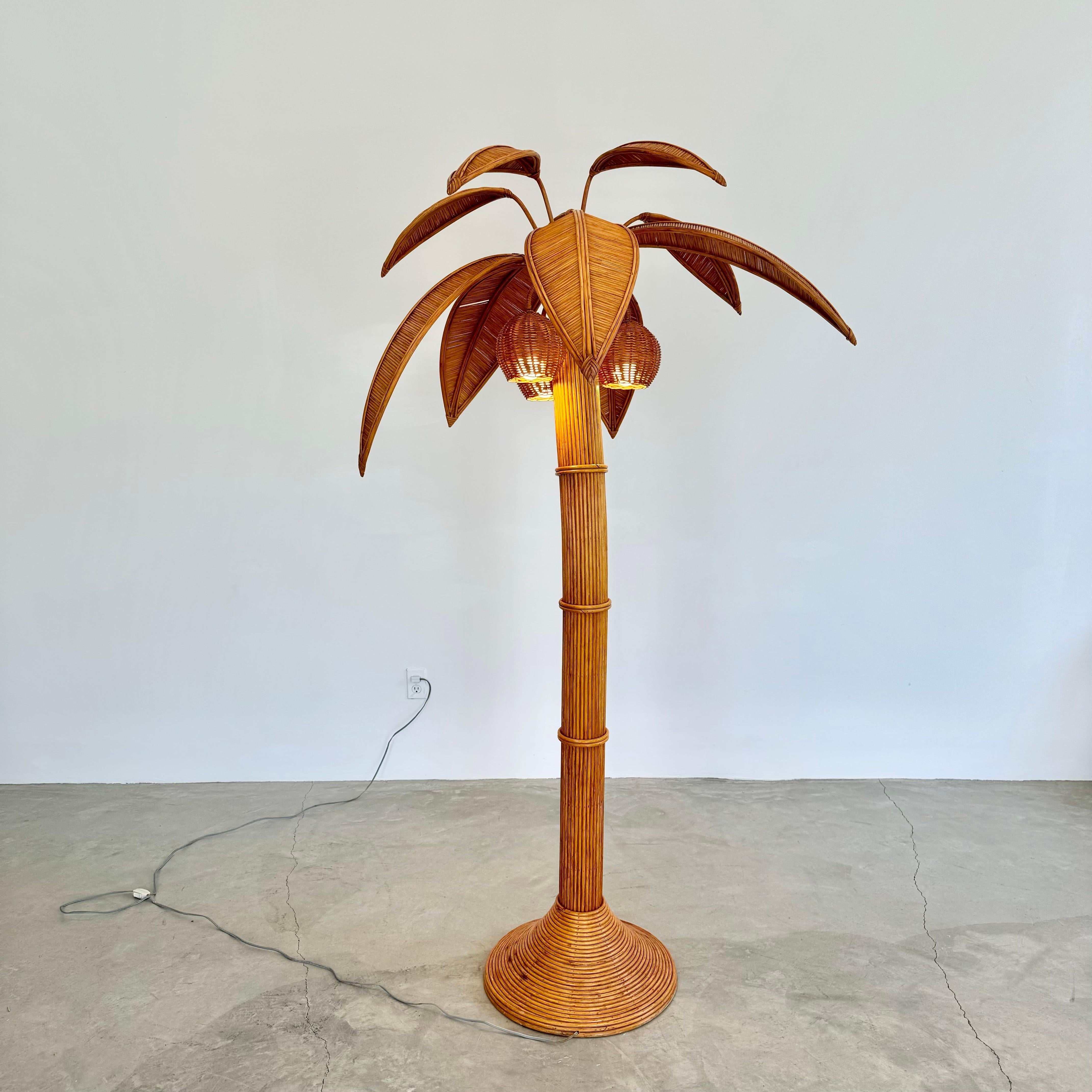 Rattan and Wicker Palm Tree Floor Lamp, 1970s United States For Sale 2