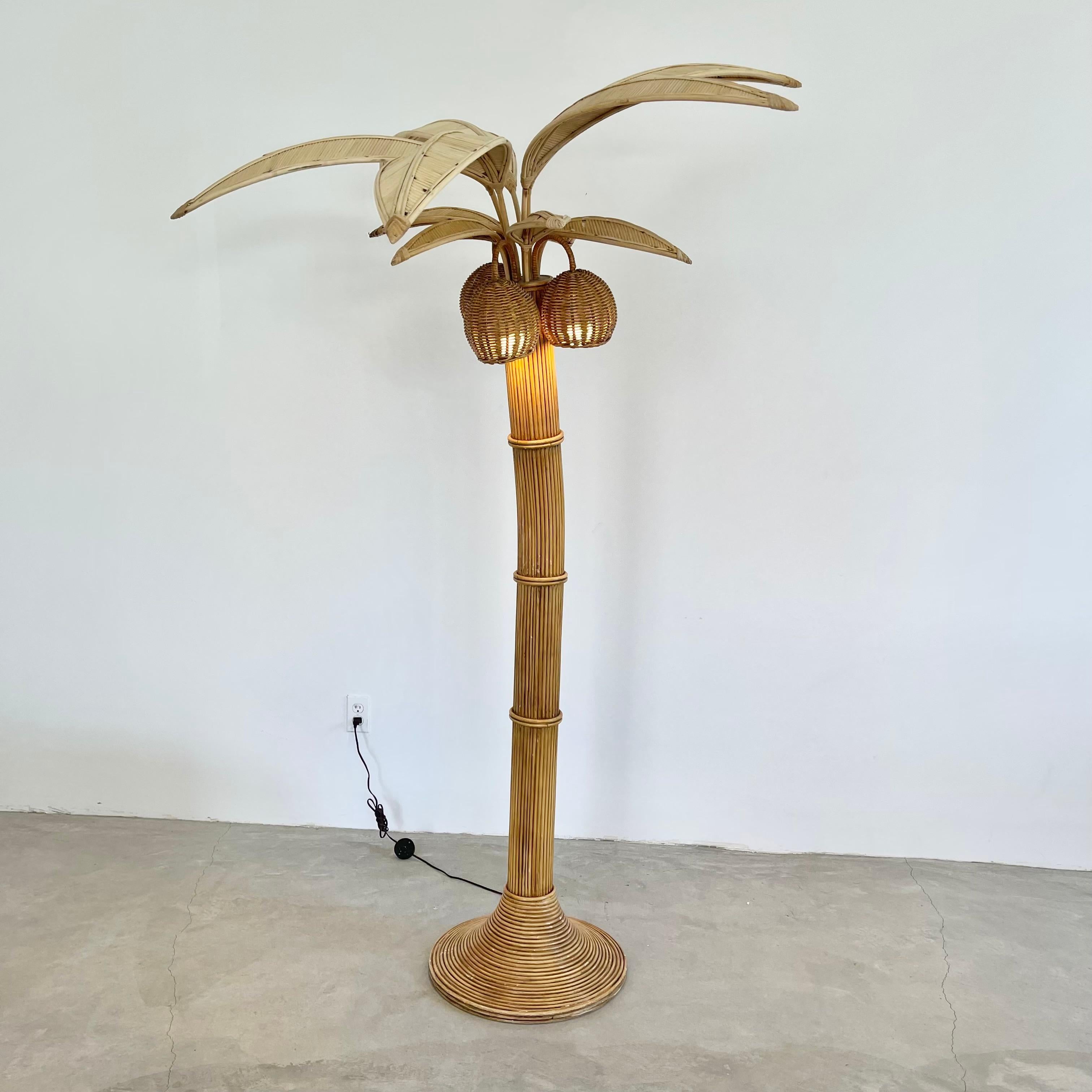 Beachy floor lamp of a Palm tree. Just under 7 feet tall. Made of rattan and wicker. Three wicker coconuts each contain a socket/light inside. Coconuts swivel. Natural color palm leaves made of wicker and rattan sprout out from the top. They rotate