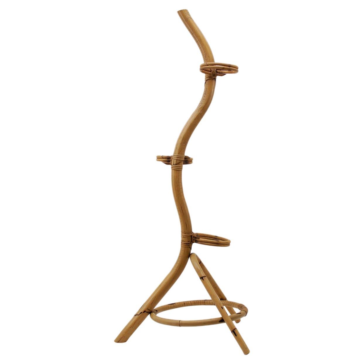 Portafiori in rattan e bambù Bonaccina Attribuito, Italia, anni '50