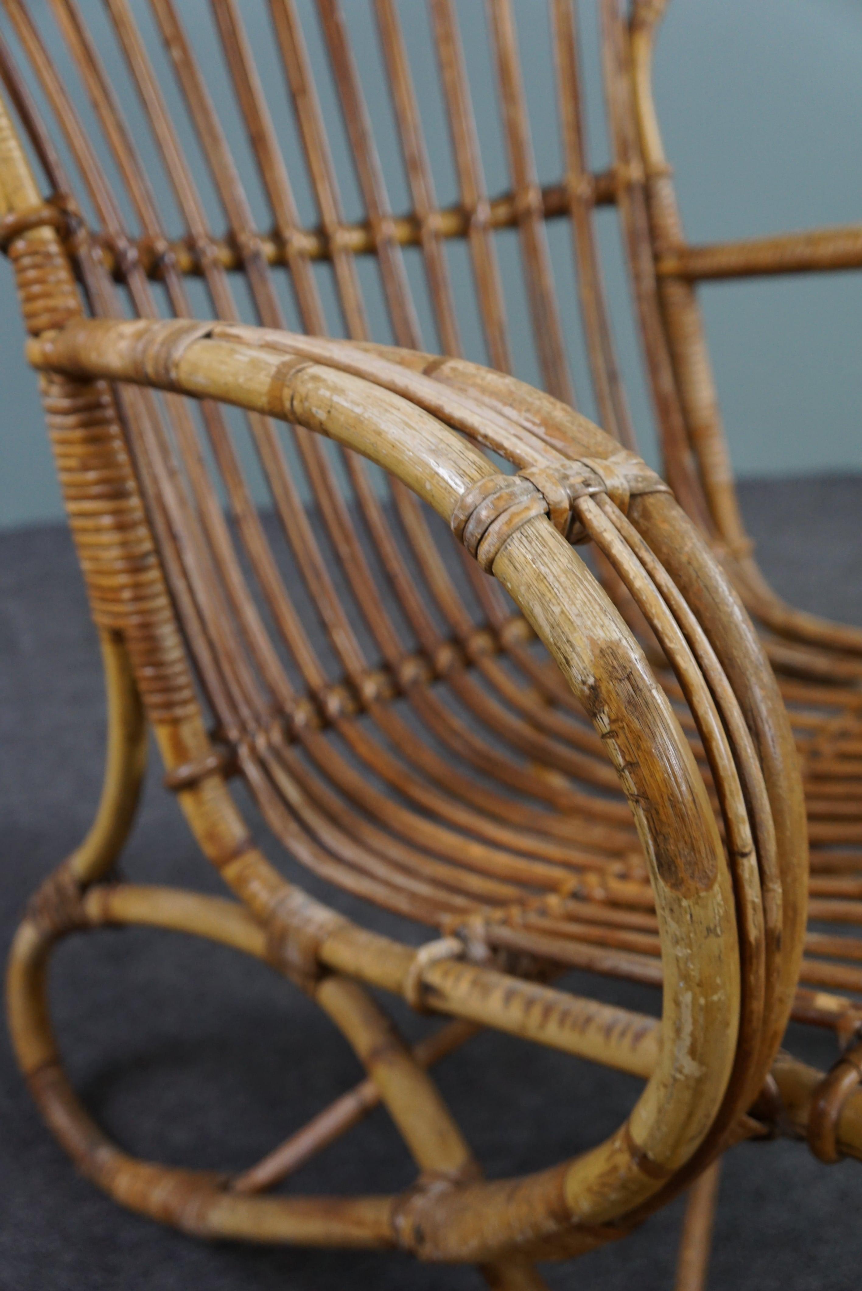 Rattan Belse 8 armchair with high back, Dutch Design, 1950 For Sale 3