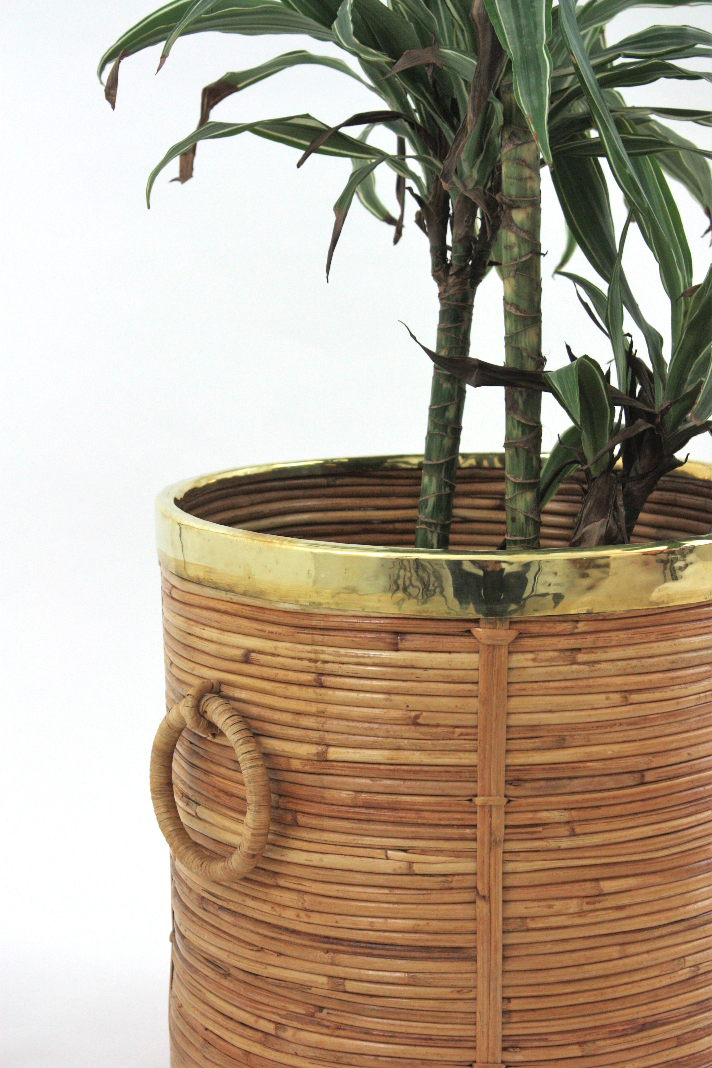 Großes rundes Pflanzgefäß / Korb aus Rattan mit Ringgriffen und Messingrand, Italien 1970 im Angebot 3