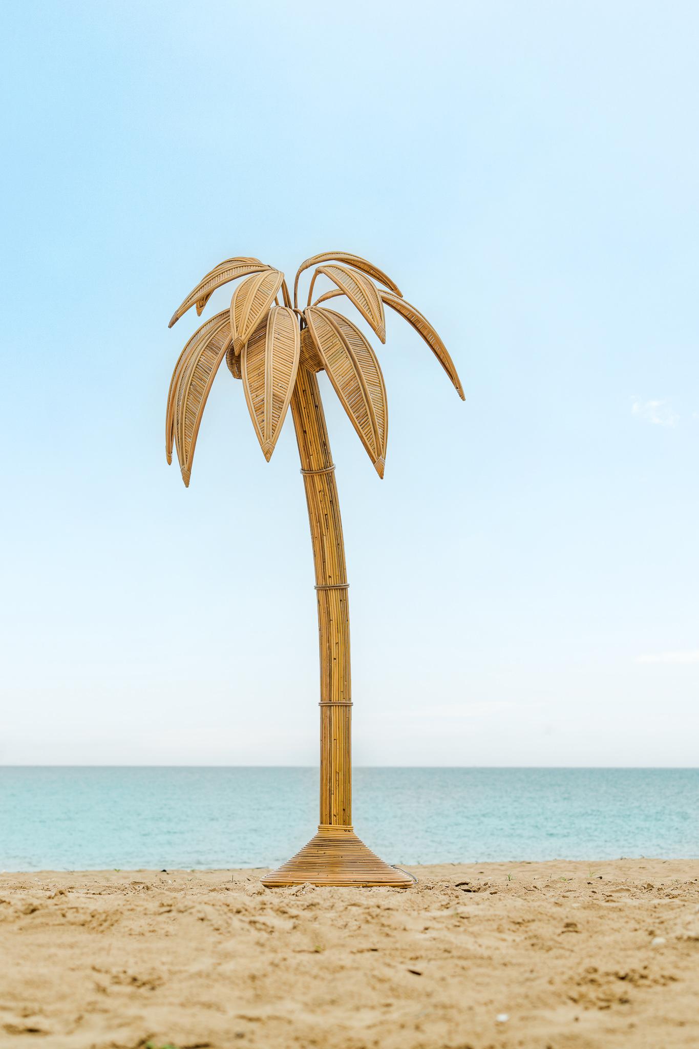 Contemporary Rattan « Palm tree/ coconut tree » floor lamp For Sale