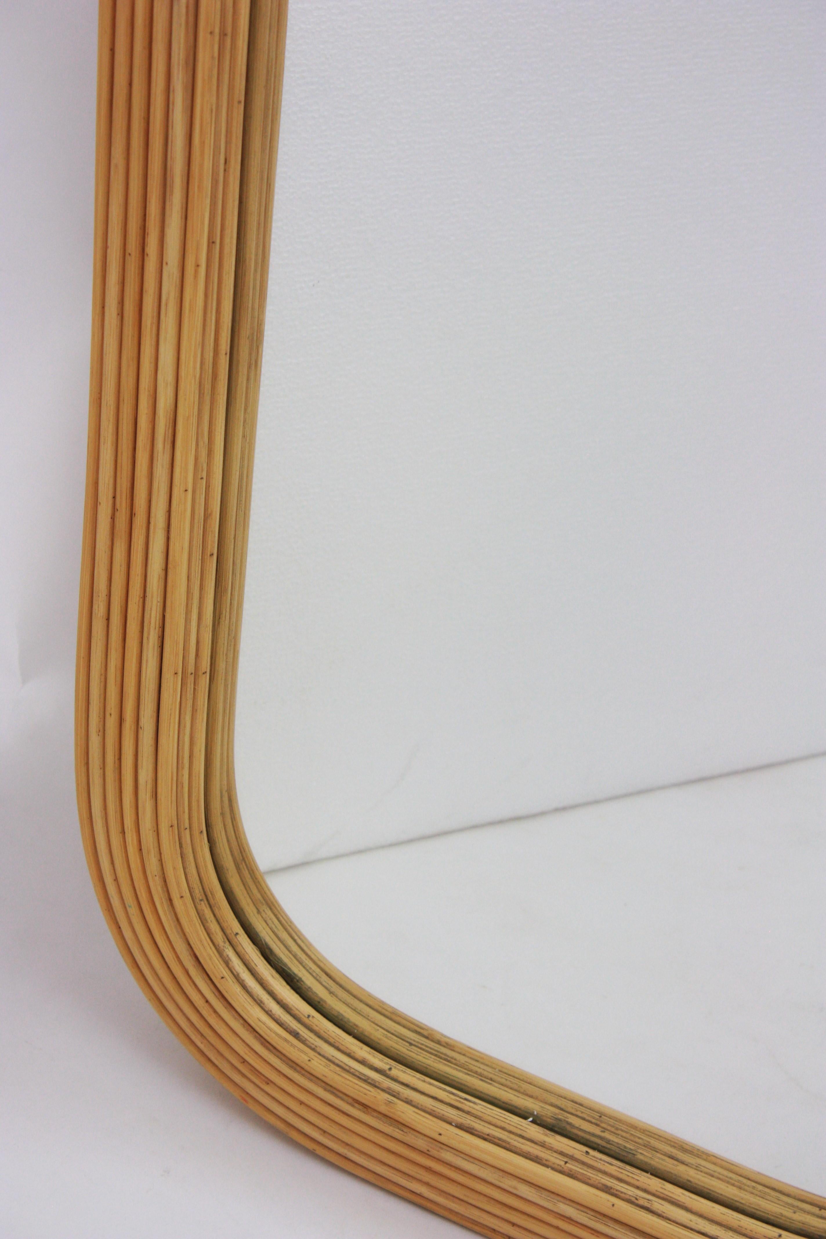 Rattan Pencil Reed Full Length Rectangular Mirror 2