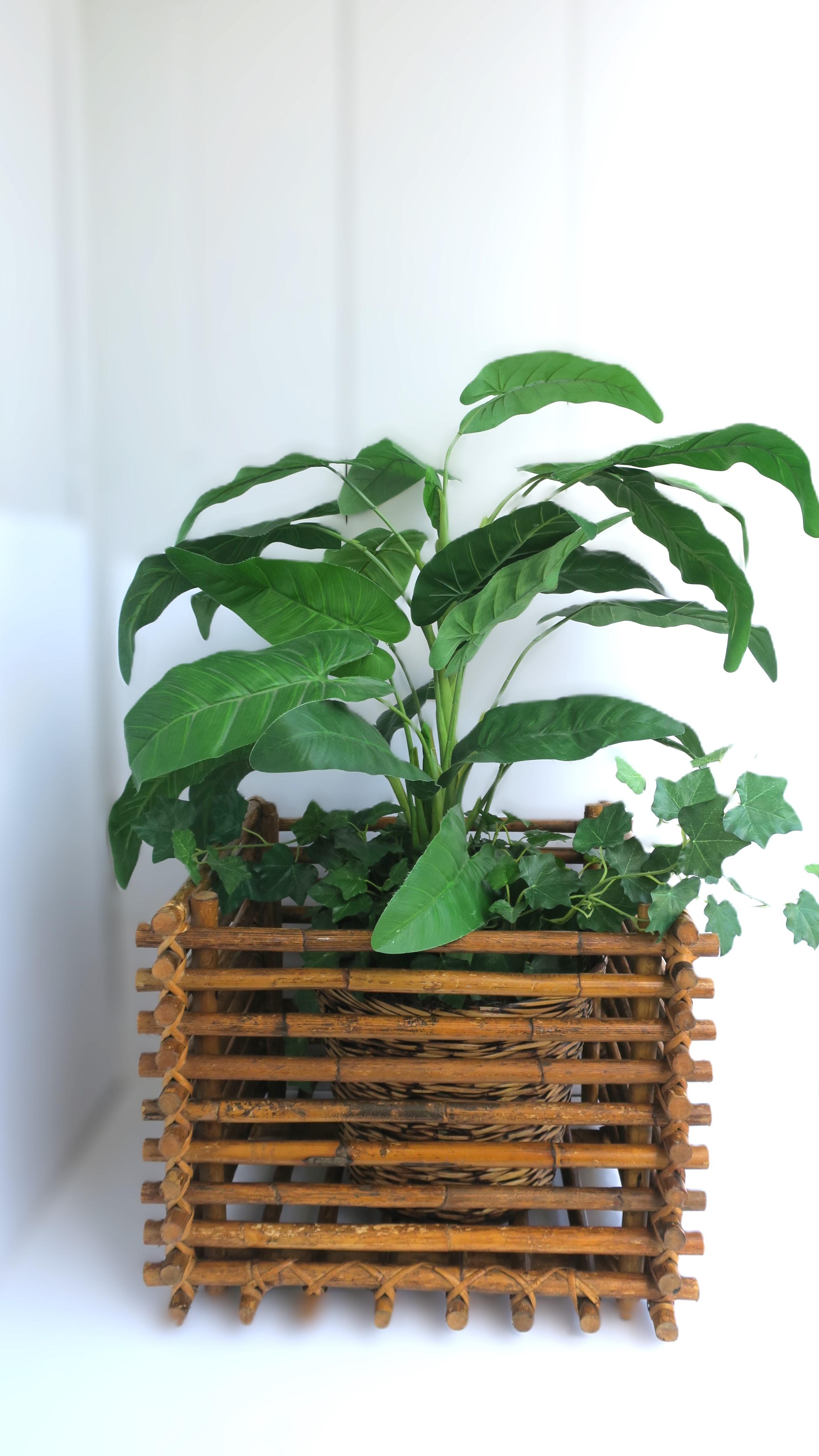 XX secolo Cachepot per piante in vimini e rattan in vendita