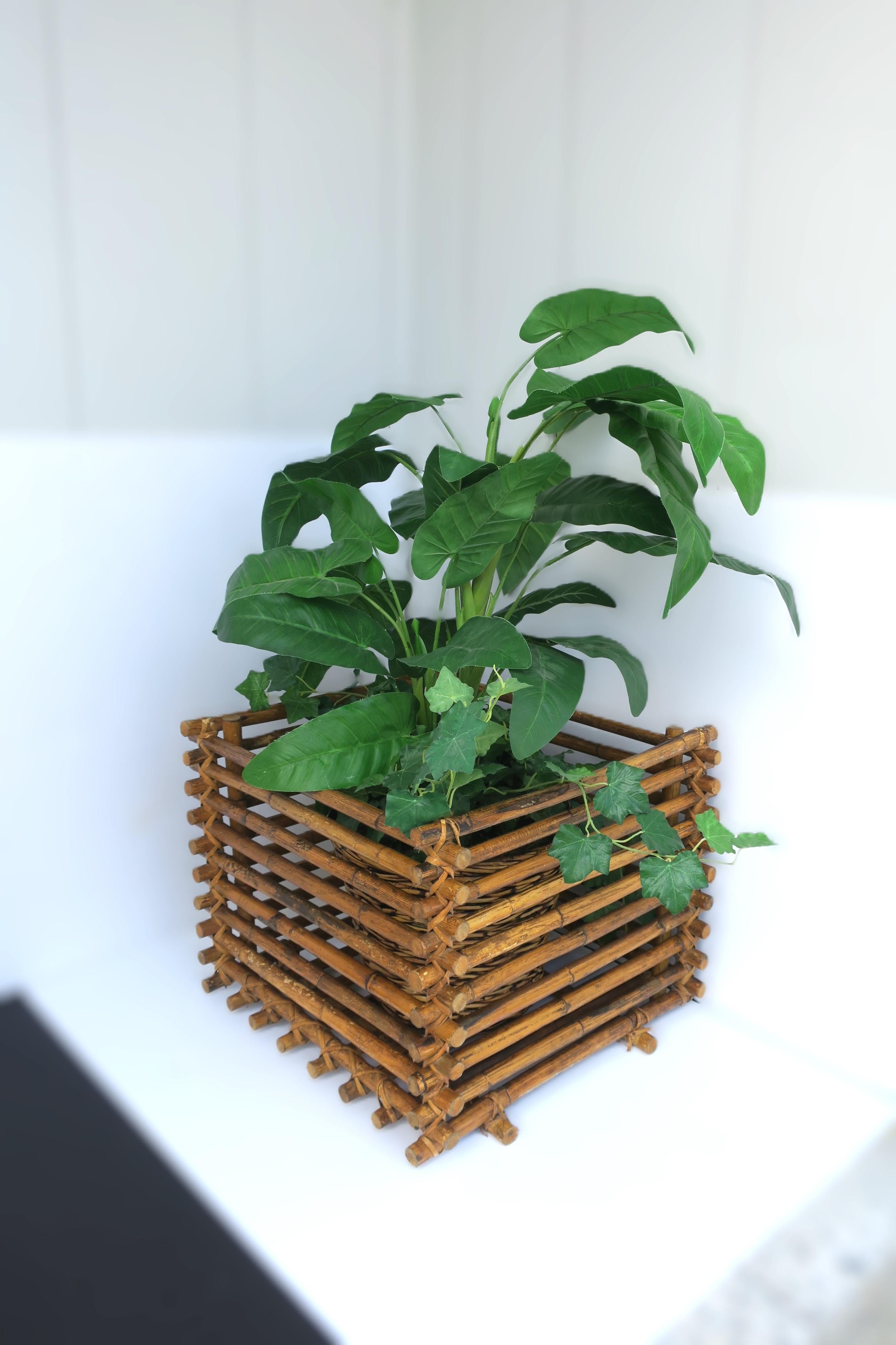 Cachepot per piante in vimini e rattan in vendita 1