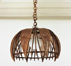 Rattan Wicker Wire Large Dome Pendant Hanging Light / Lantern, 1960s