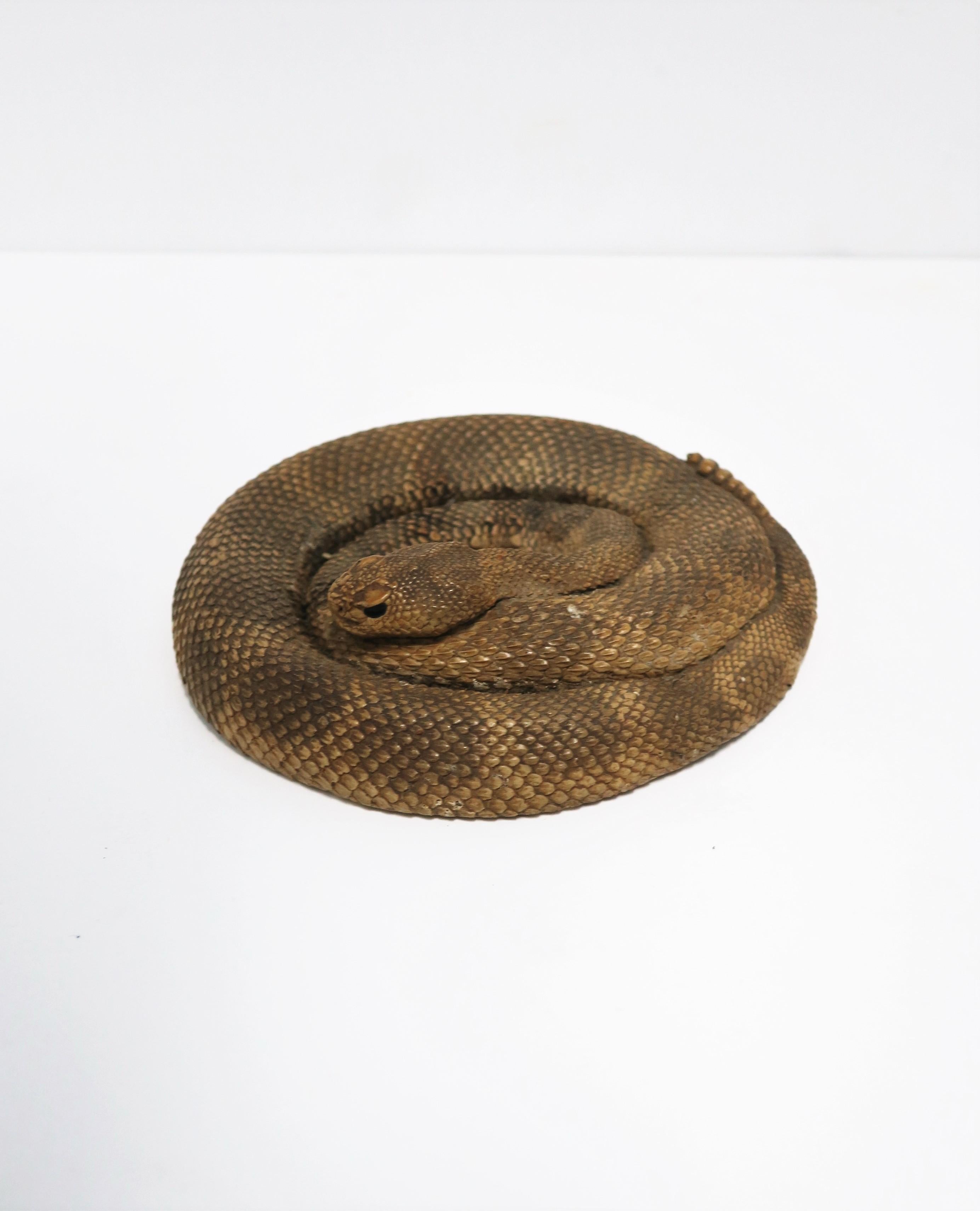 coiled rattlesnake