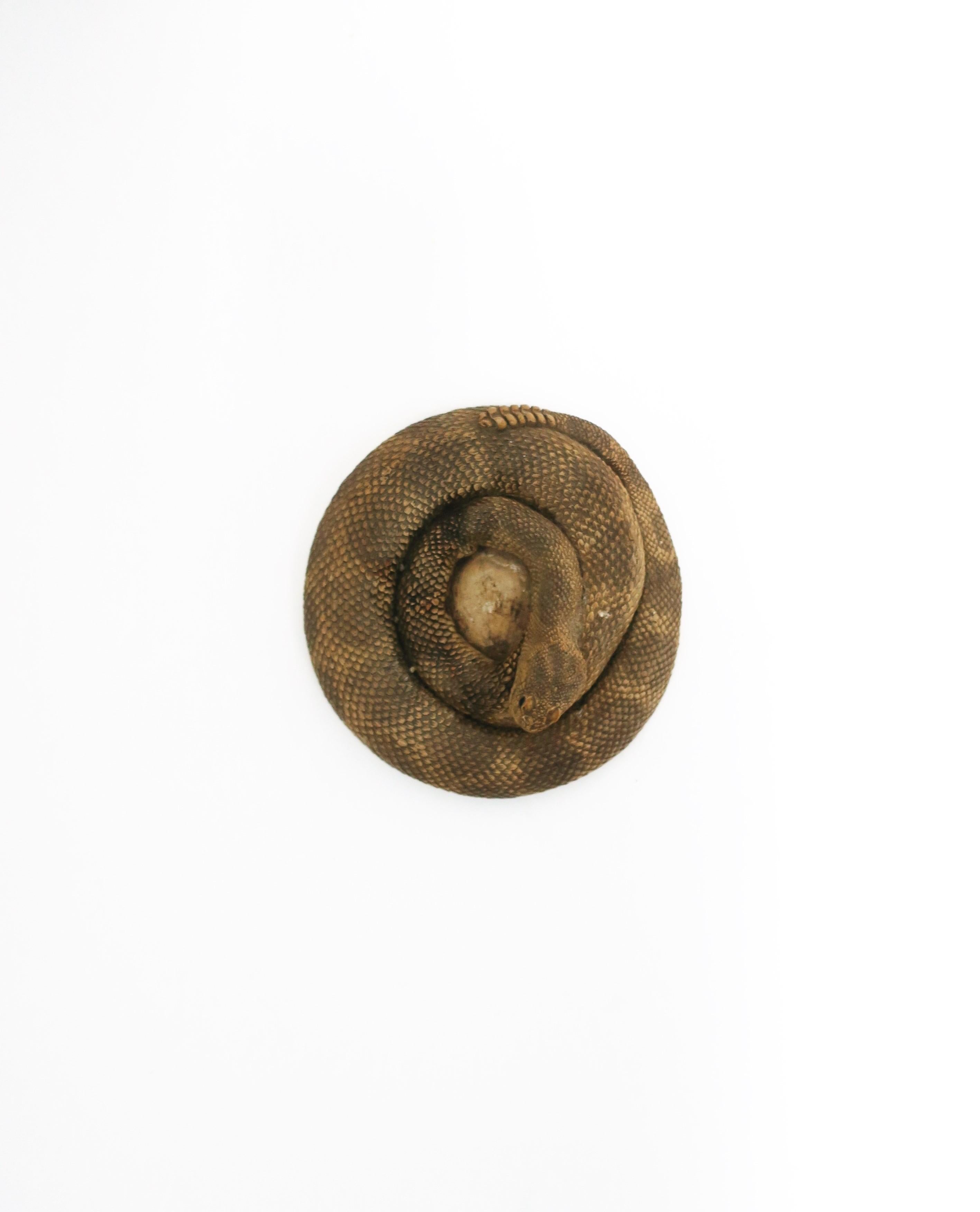 Rustique Serpent à sonnette enroulé, circa 1980 USA