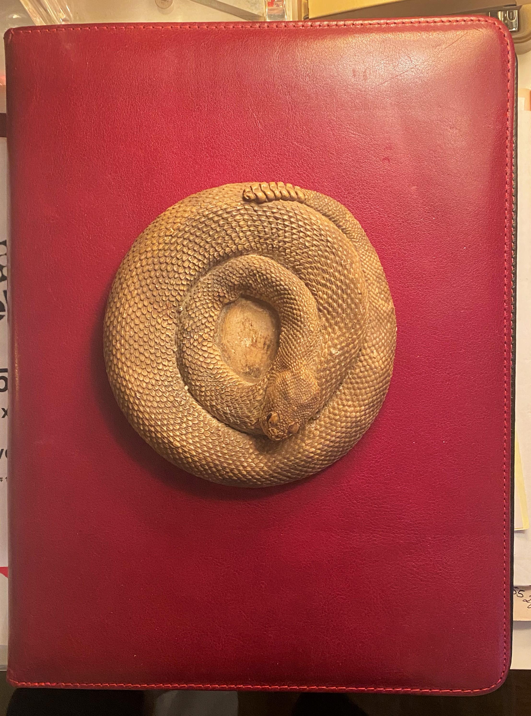 Américain Serpent à sonnette enroulé, circa 1980 USA