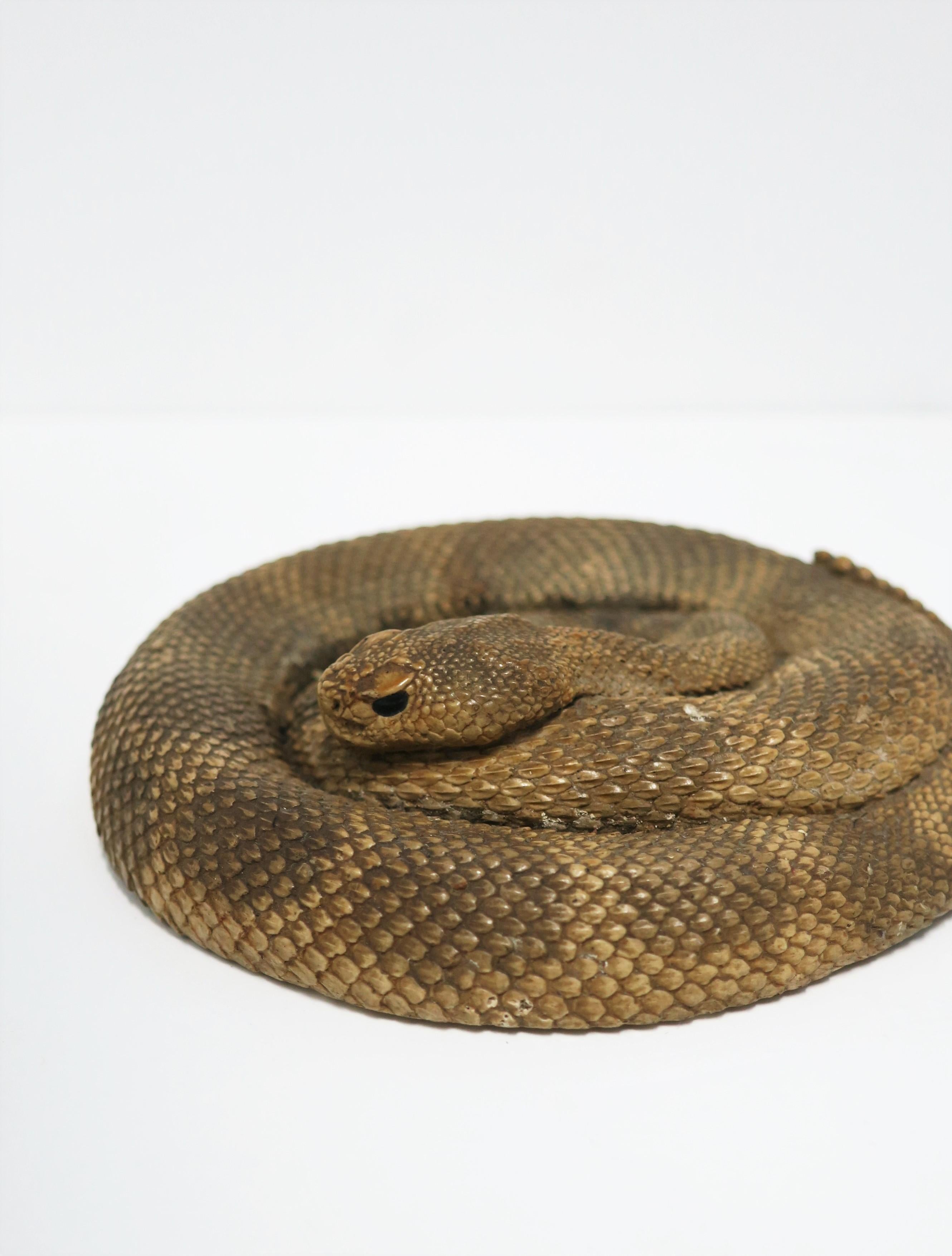 Coiled Rattle Snake, circa 1980s USA In Good Condition For Sale In New York, NY