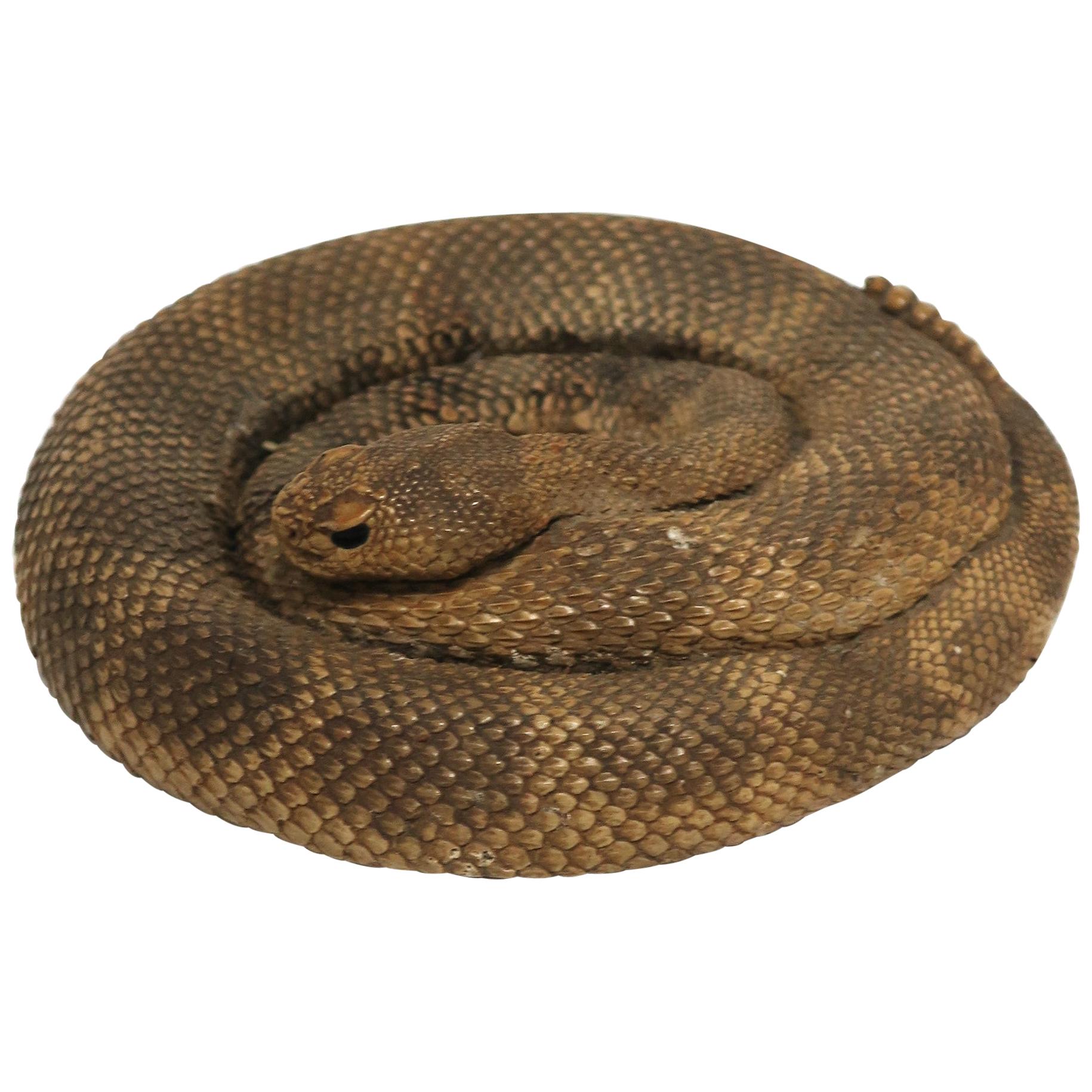 Coiled Rattle Snake, circa 1980s USA For Sale